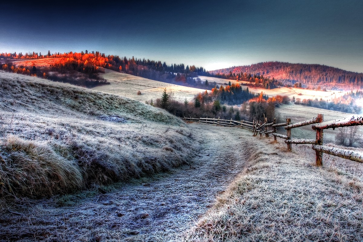Jack Beautiful Frost Strolling Morning Offroad Frosty - Frosty Field , HD Wallpaper & Backgrounds