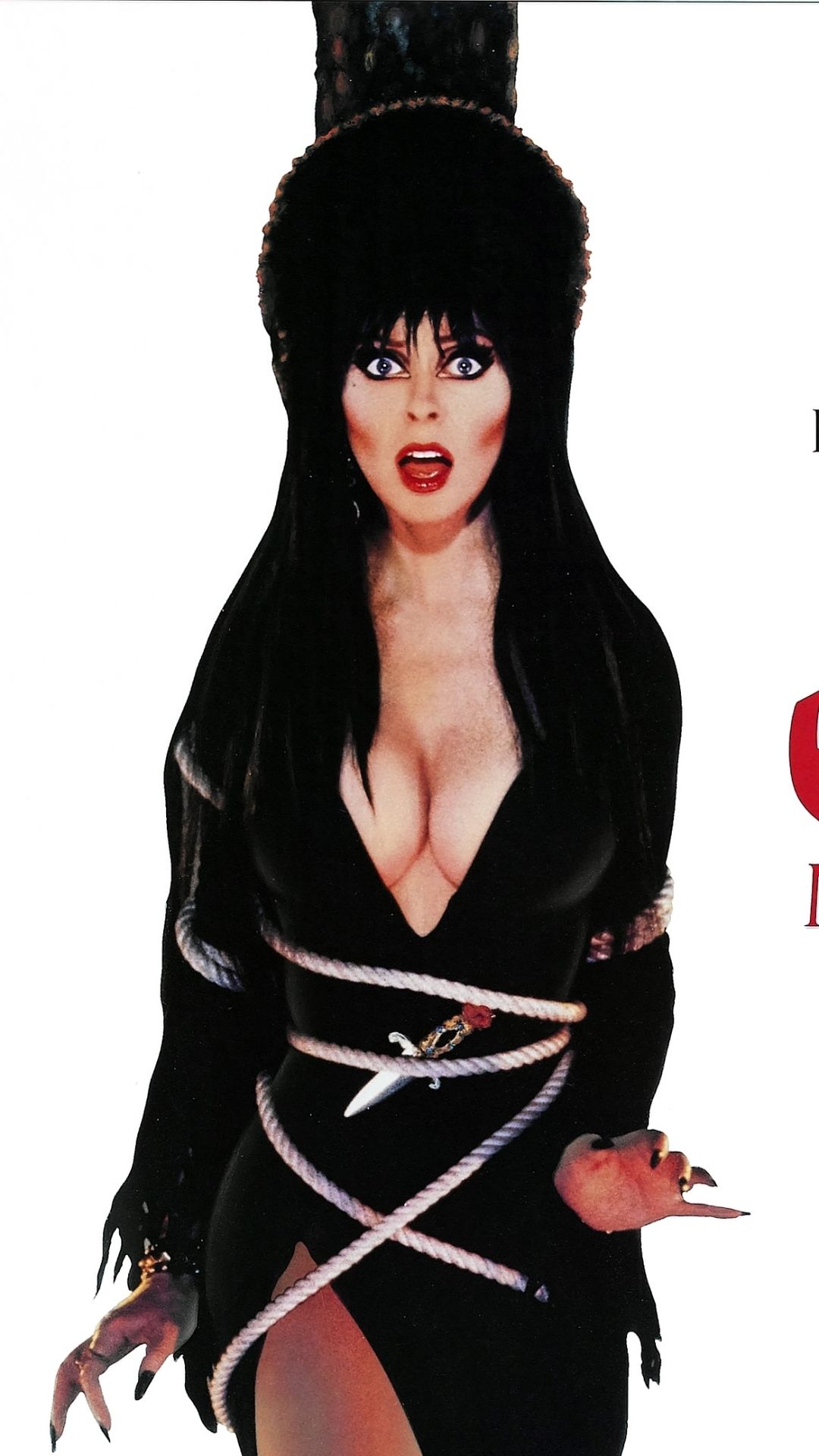 Horror Icons, Horror Art, Cassandra Peterson, Golden - Elvira Movie , HD Wallpaper & Backgrounds