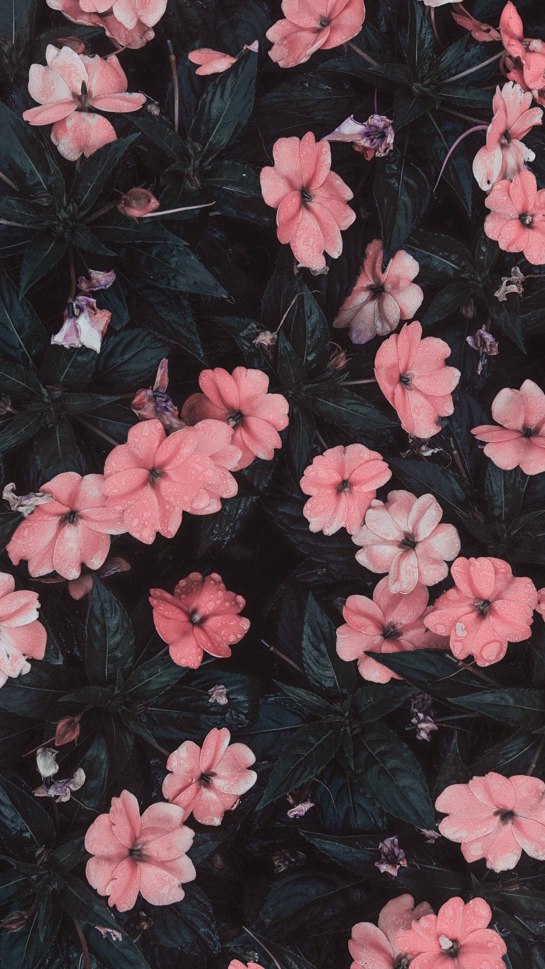 Wallpaper For Iphone, Walpaper Iphone, Lock Screen - Flowers Wallpaper Tumblr Hd , HD Wallpaper & Backgrounds