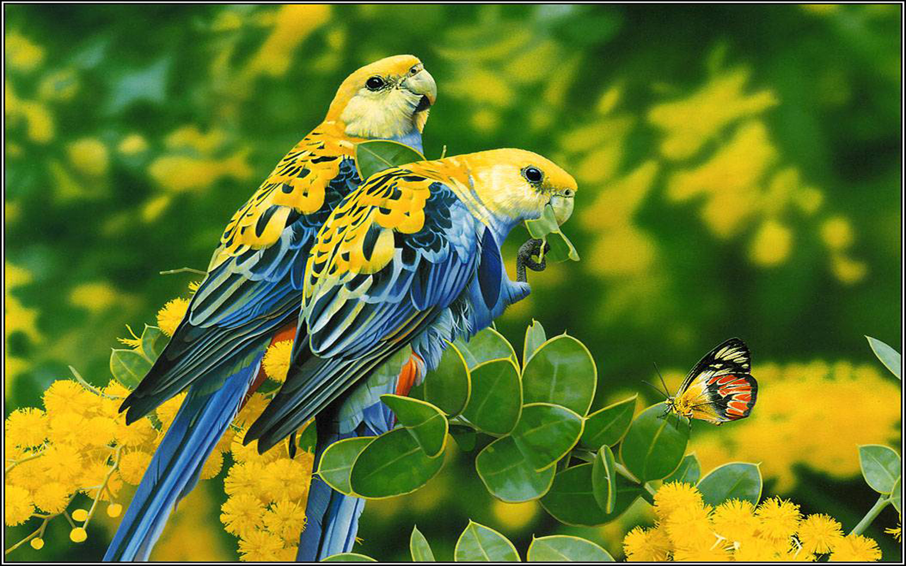 Birds Blue Yellow Parrots Butterfly Tree With Yellow - Beautiful Birds Scenery , HD Wallpaper & Backgrounds