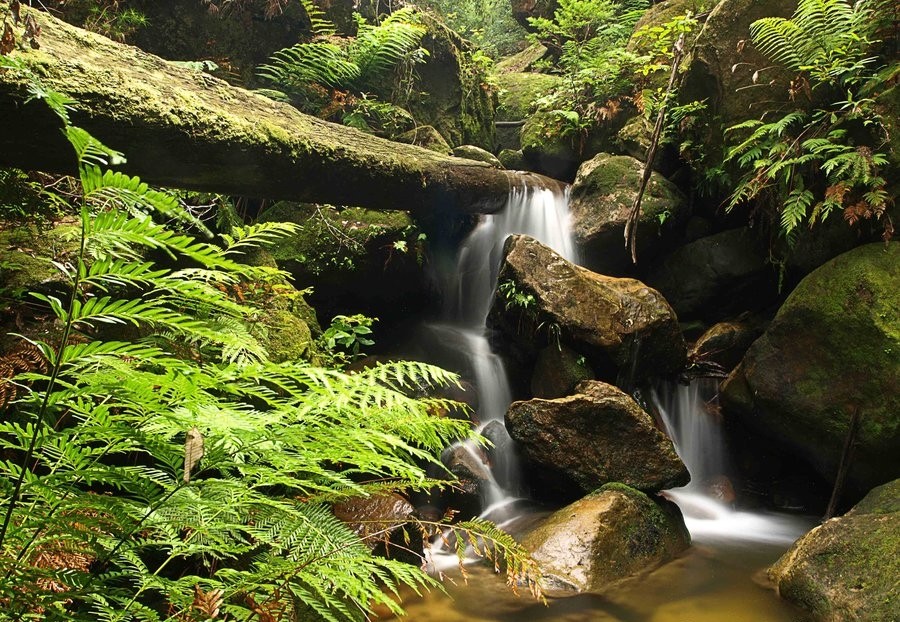 Beautiful Waterfall Saviour Nature Live Wallpaper Computer - Tributary , HD Wallpaper & Backgrounds