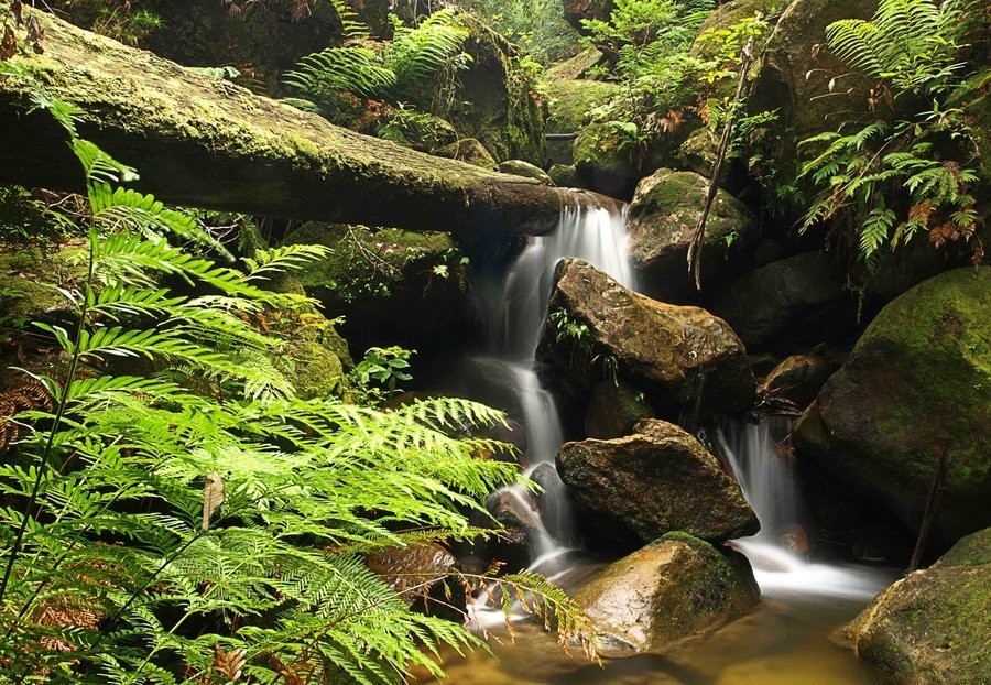 Beautiful Waterfall Saviour Nature Live Wallpaper Computer - Tributary , HD Wallpaper & Backgrounds