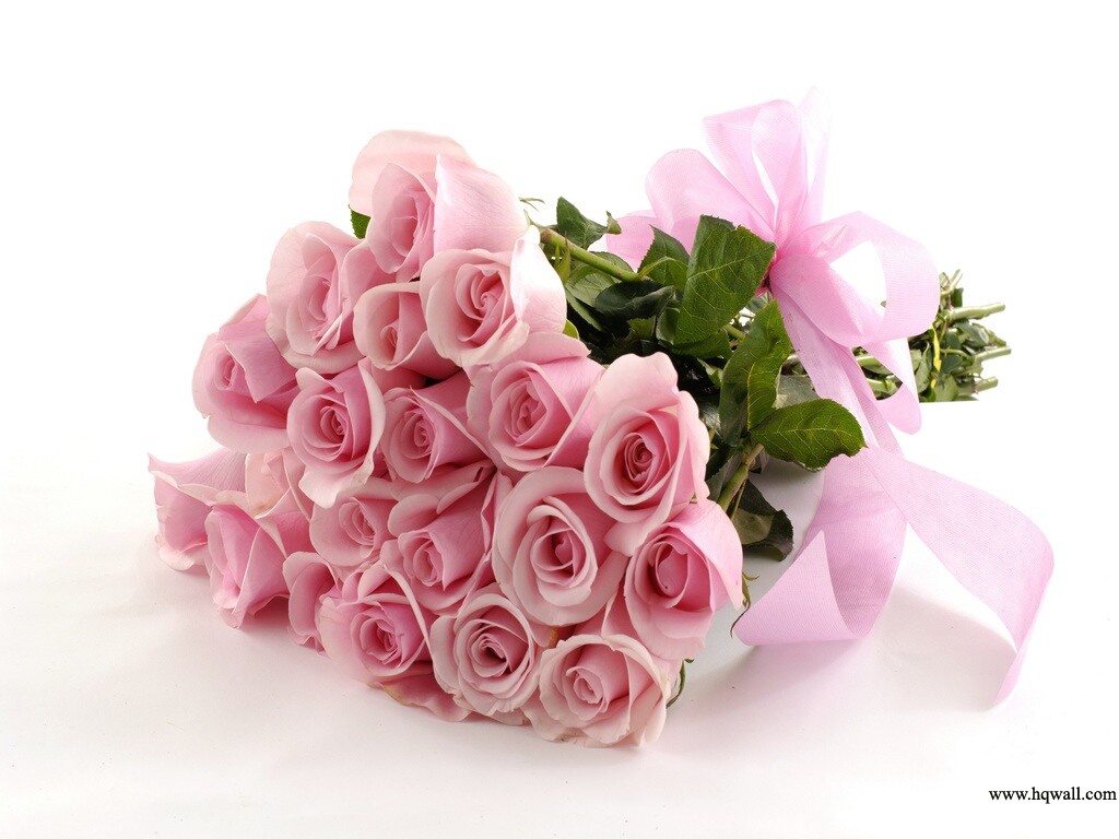 Great Minds Discuss Ideas - Bunch Of Pink Roses , HD Wallpaper & Backgrounds