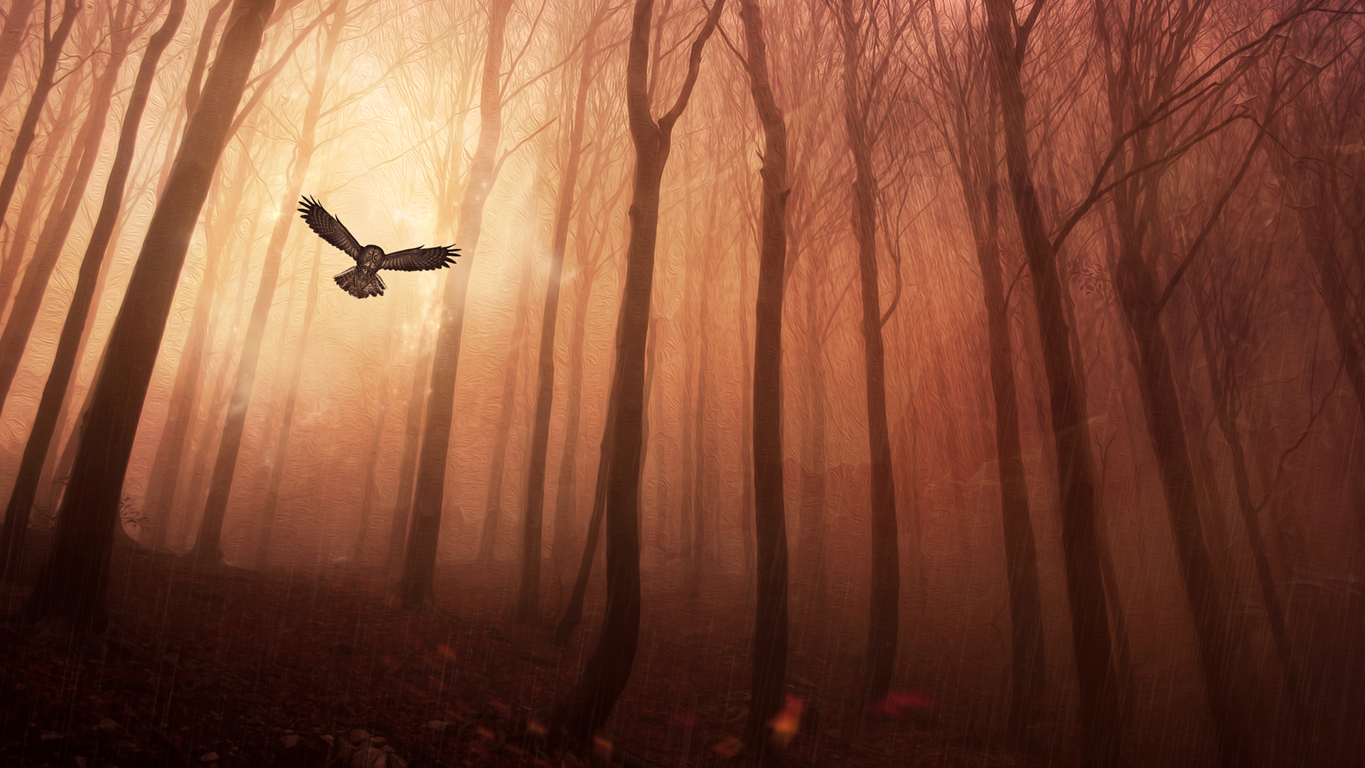 Owl Forest - Creepy Background For Photoshop , HD Wallpaper & Backgrounds