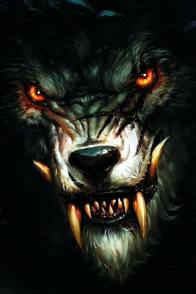Werewolf Wolf Wallpaper, Gothic Wallpaper, Wallpaper, - Werewolf Alpha , HD Wallpaper & Backgrounds