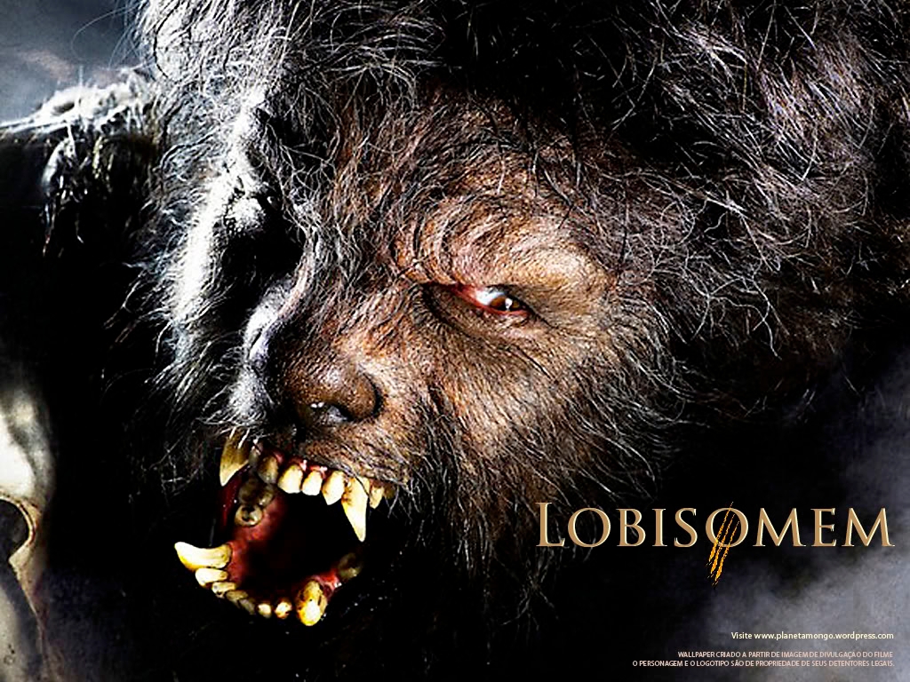Ben Cio Del Toro, Como O Lobisomem - Wolfman 2010 , HD Wallpaper & Backgrounds
