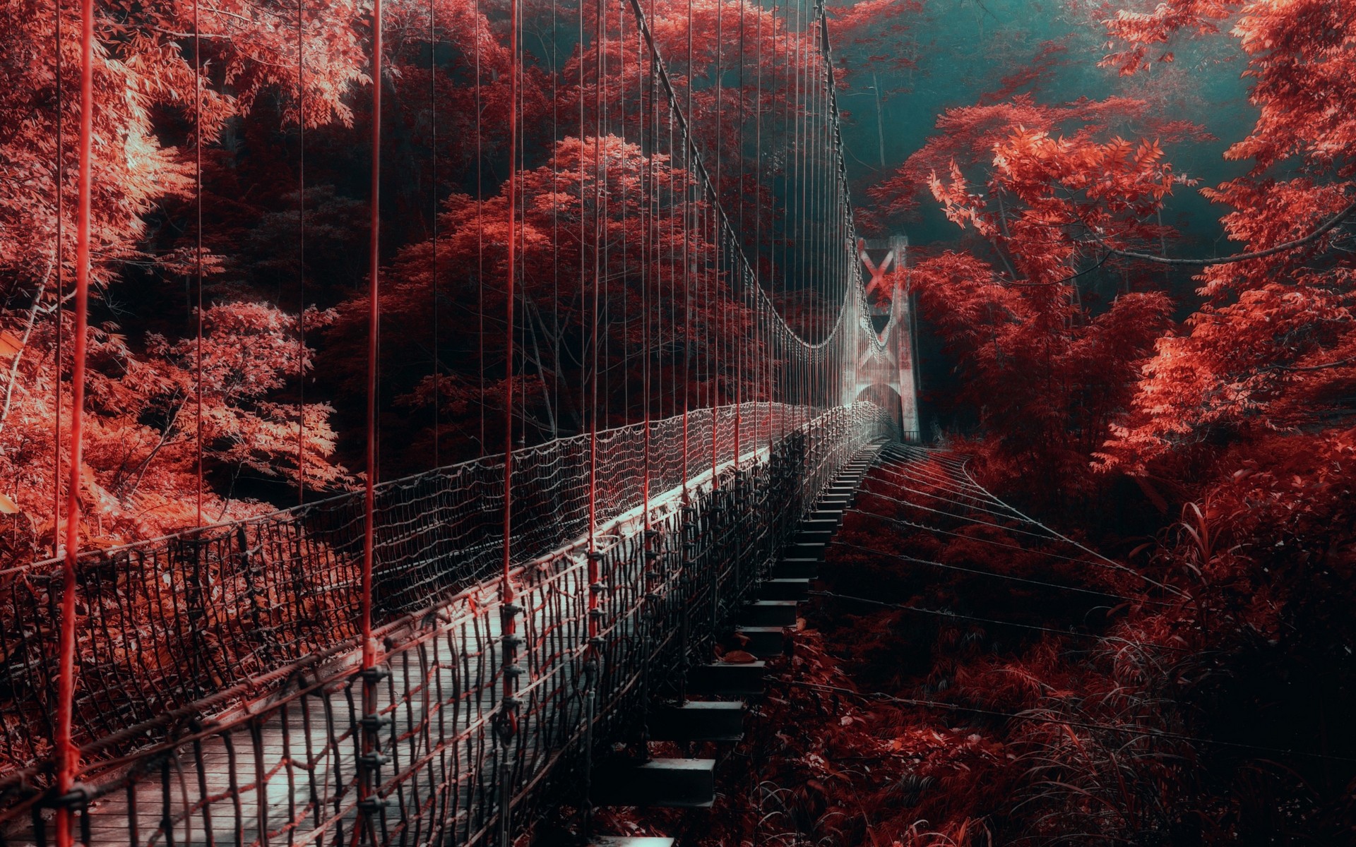 #mist, #forest, #bridge, #red, #nature, #walkway, #landscape, - Red Trees Bridge , HD Wallpaper & Backgrounds