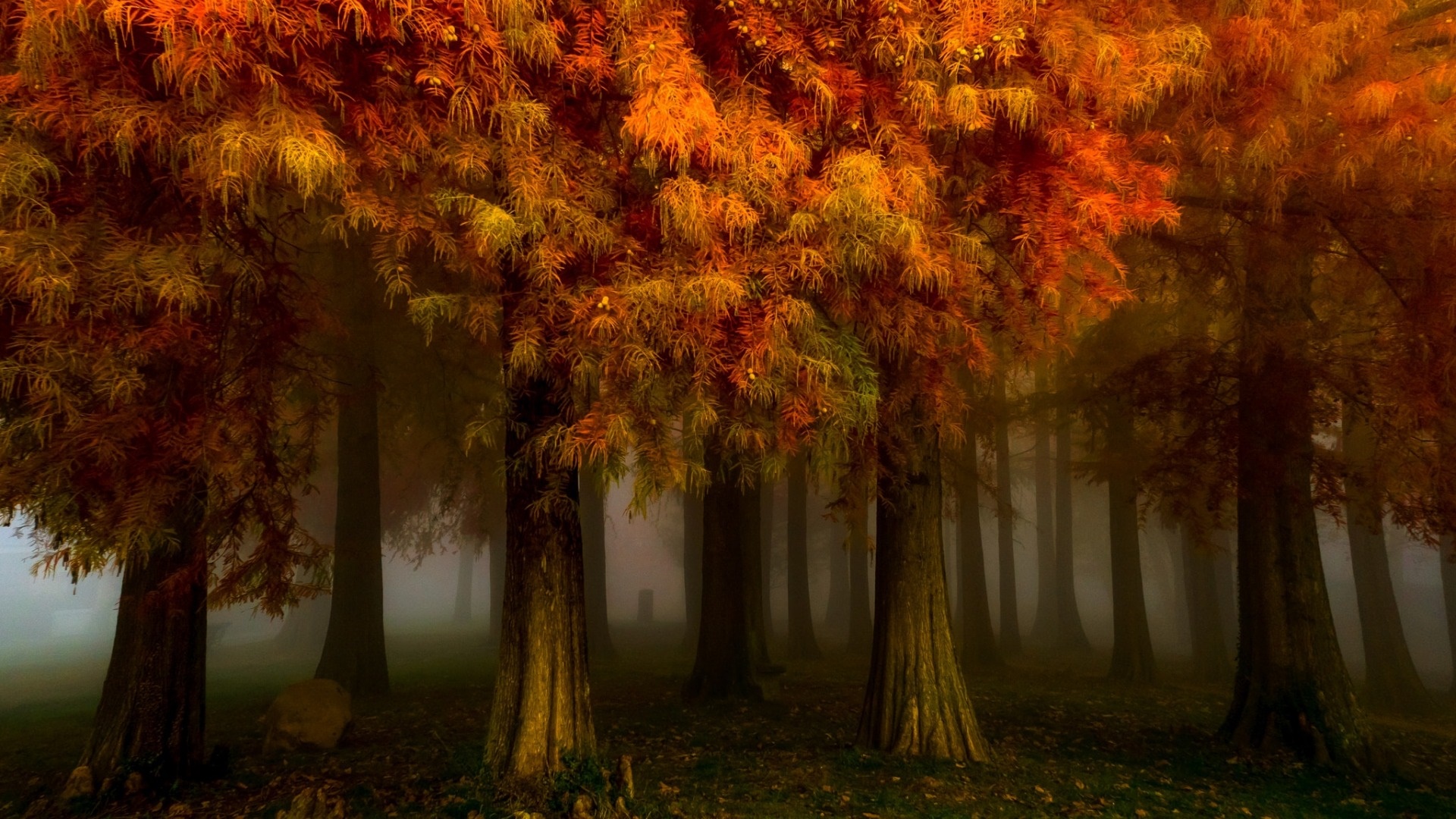 Landscape Portrait - Autumn , HD Wallpaper & Backgrounds