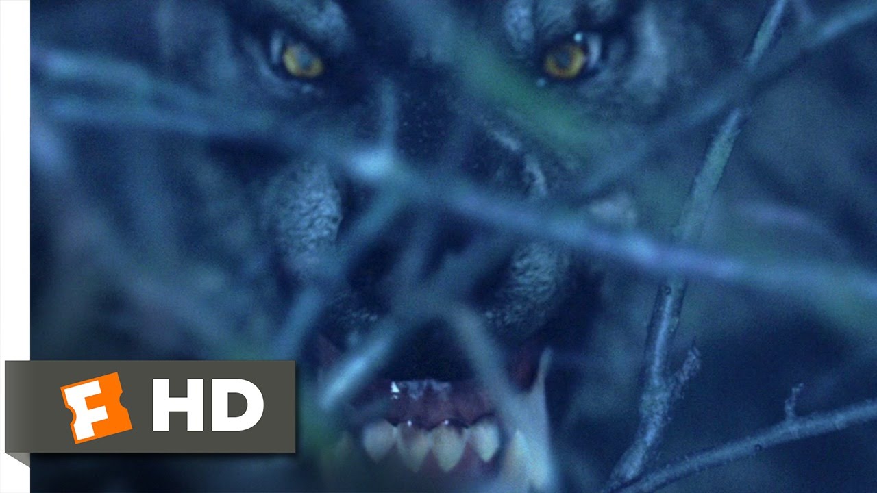 Van Helsing - Van Helsing Werewolf Grey , HD Wallpaper & Backgrounds