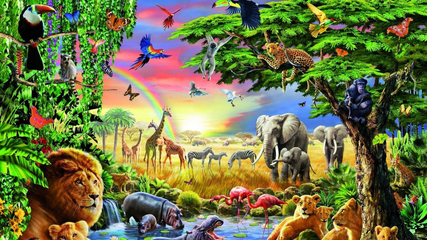 Jungle With Animals Background , HD Wallpaper & Backgrounds