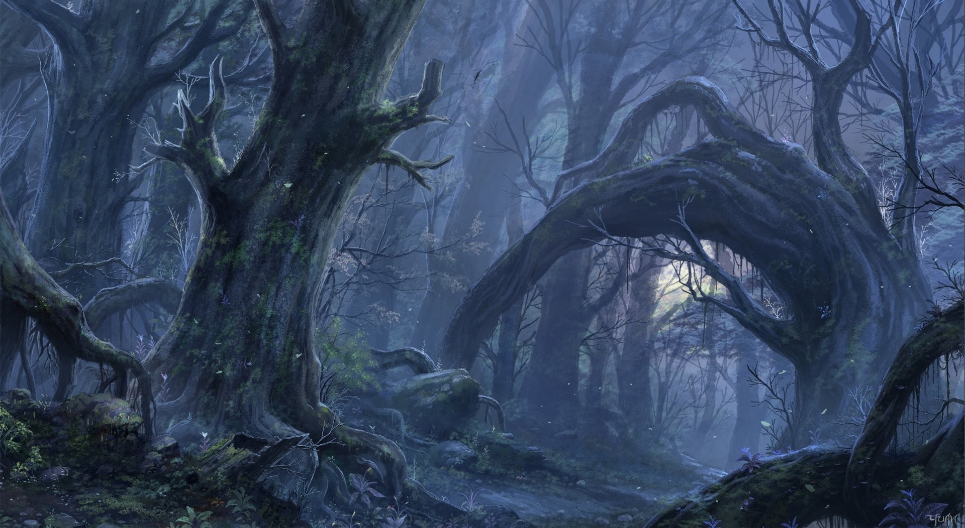 Enchanted Forest Backgrounds Free Download Wallpaper - Fantasy Dark Forest Background , HD Wallpaper & Backgrounds