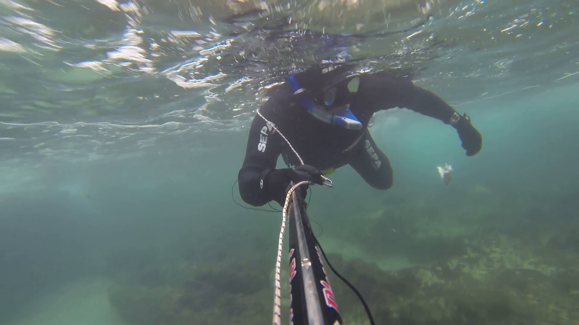 Spear Fisherman Spearfishing Underwater Stock Video - Underwater , HD Wallpaper & Backgrounds