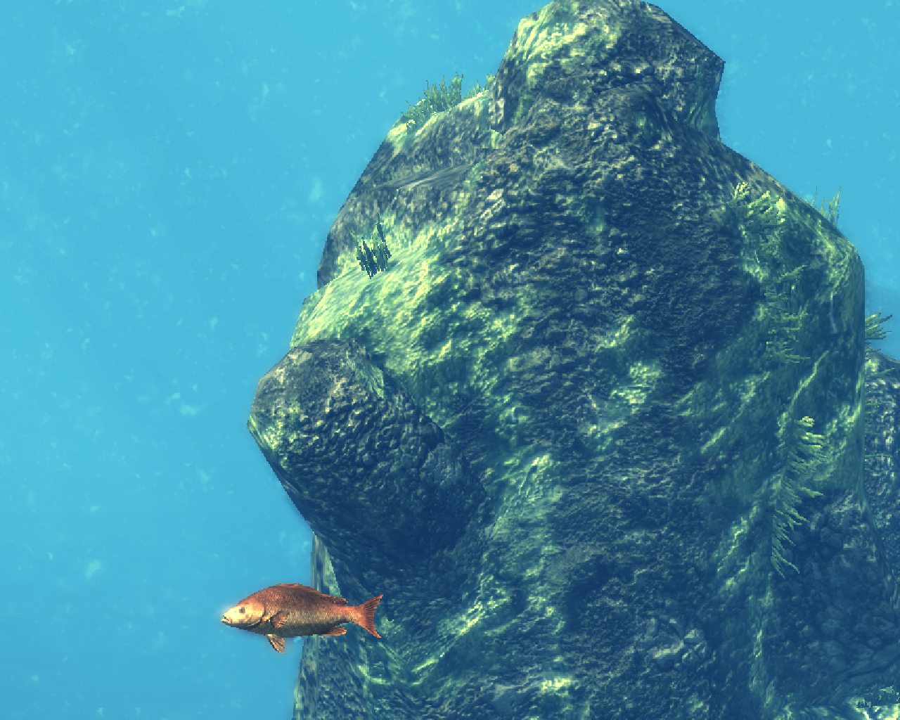 The Spearfishing Simulator Windows It Is Possible To - Underwater , HD Wallpaper & Backgrounds