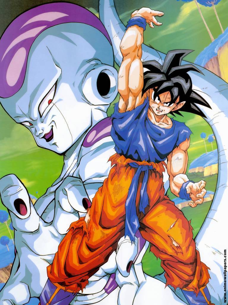 Dragon Ball Z Goku E Freeza , HD Wallpaper & Backgrounds