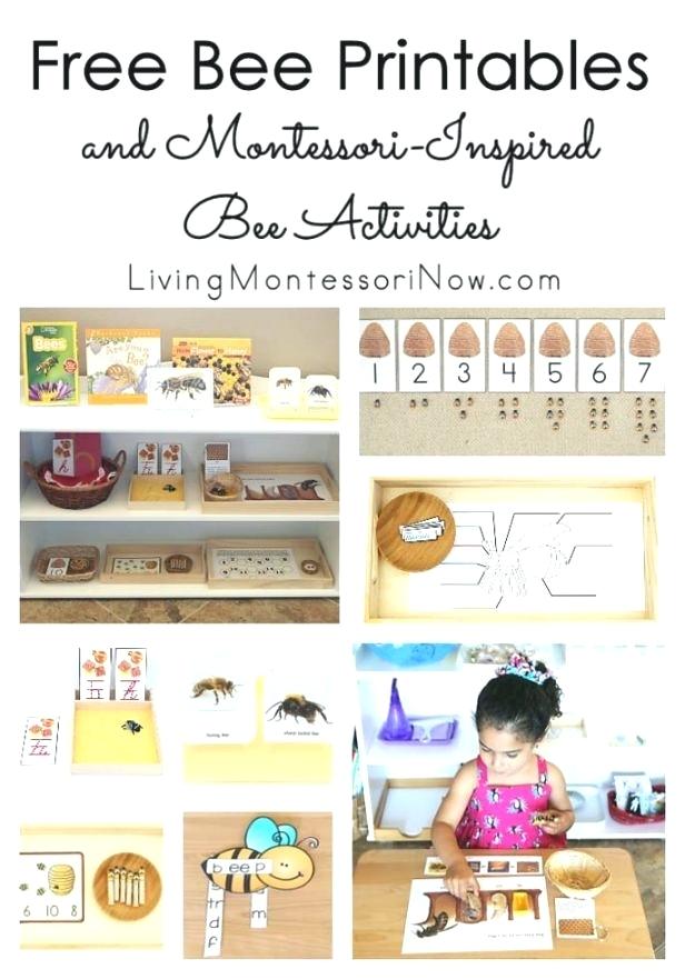 Printables Blogspot Inestimable Free Myfroggystuffblogspot - Montessori Bee Activities , HD Wallpaper & Backgrounds