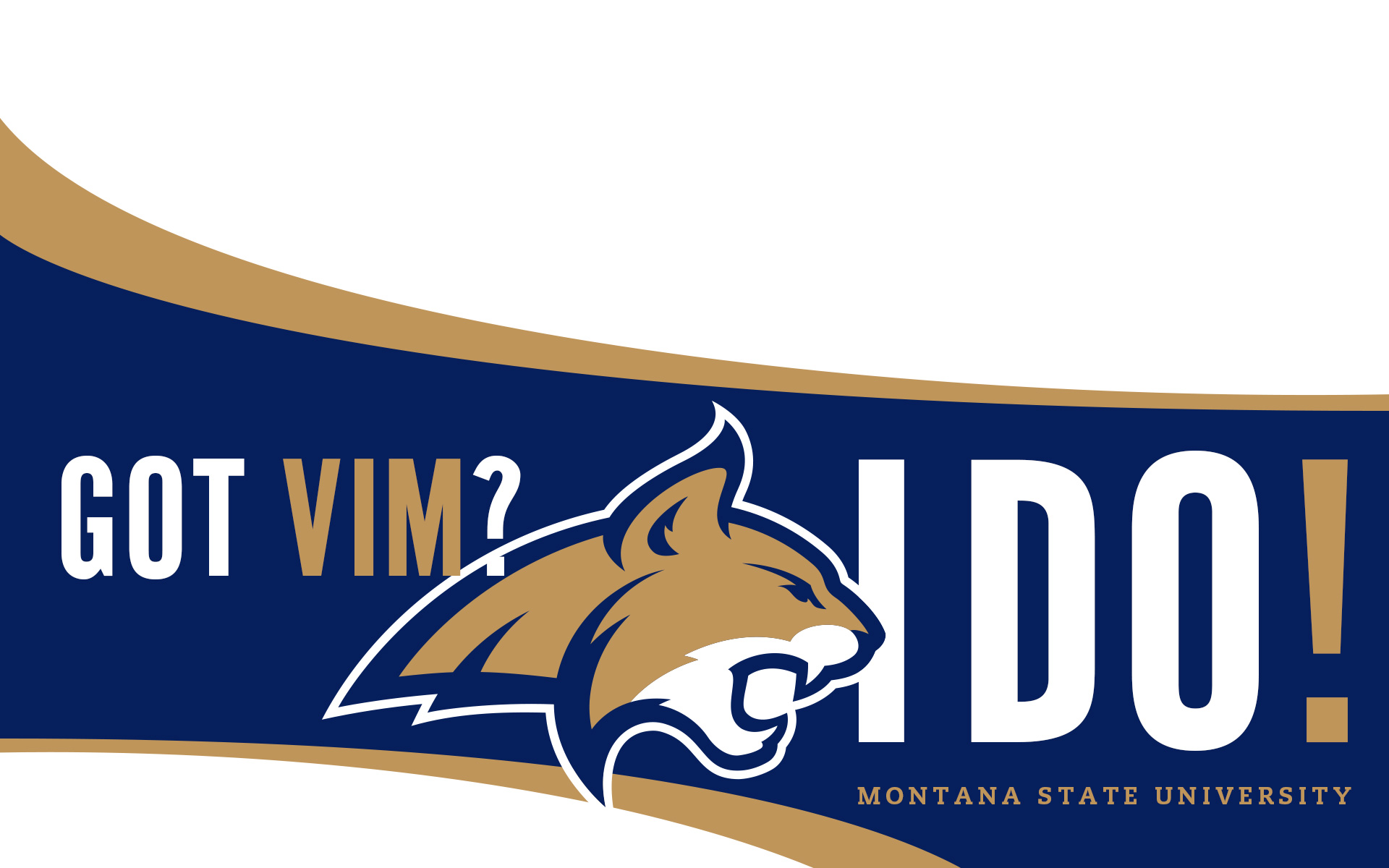 Got Vim Wallpaper - Montana State Bobcats Football , HD Wallpaper & Backgrounds