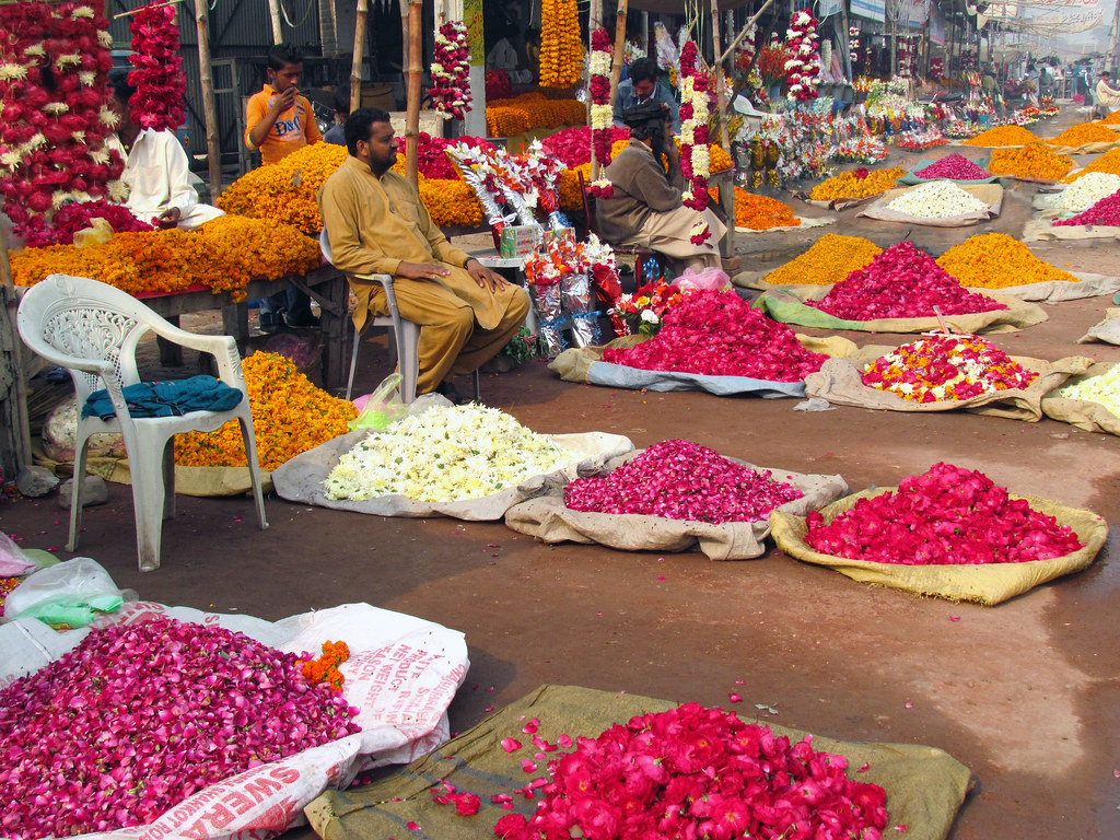 Flower Market Sagian Lahore - Lahore , HD Wallpaper & Backgrounds