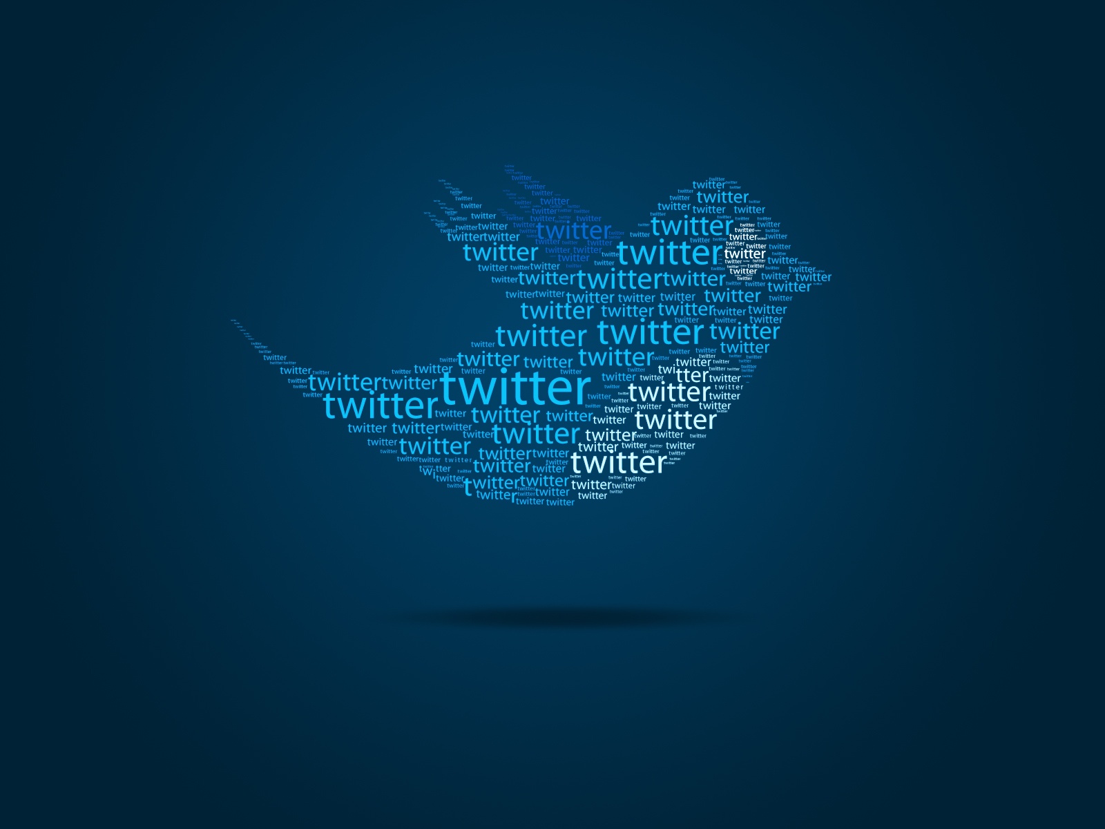 Twitter Bird , HD Wallpaper & Backgrounds