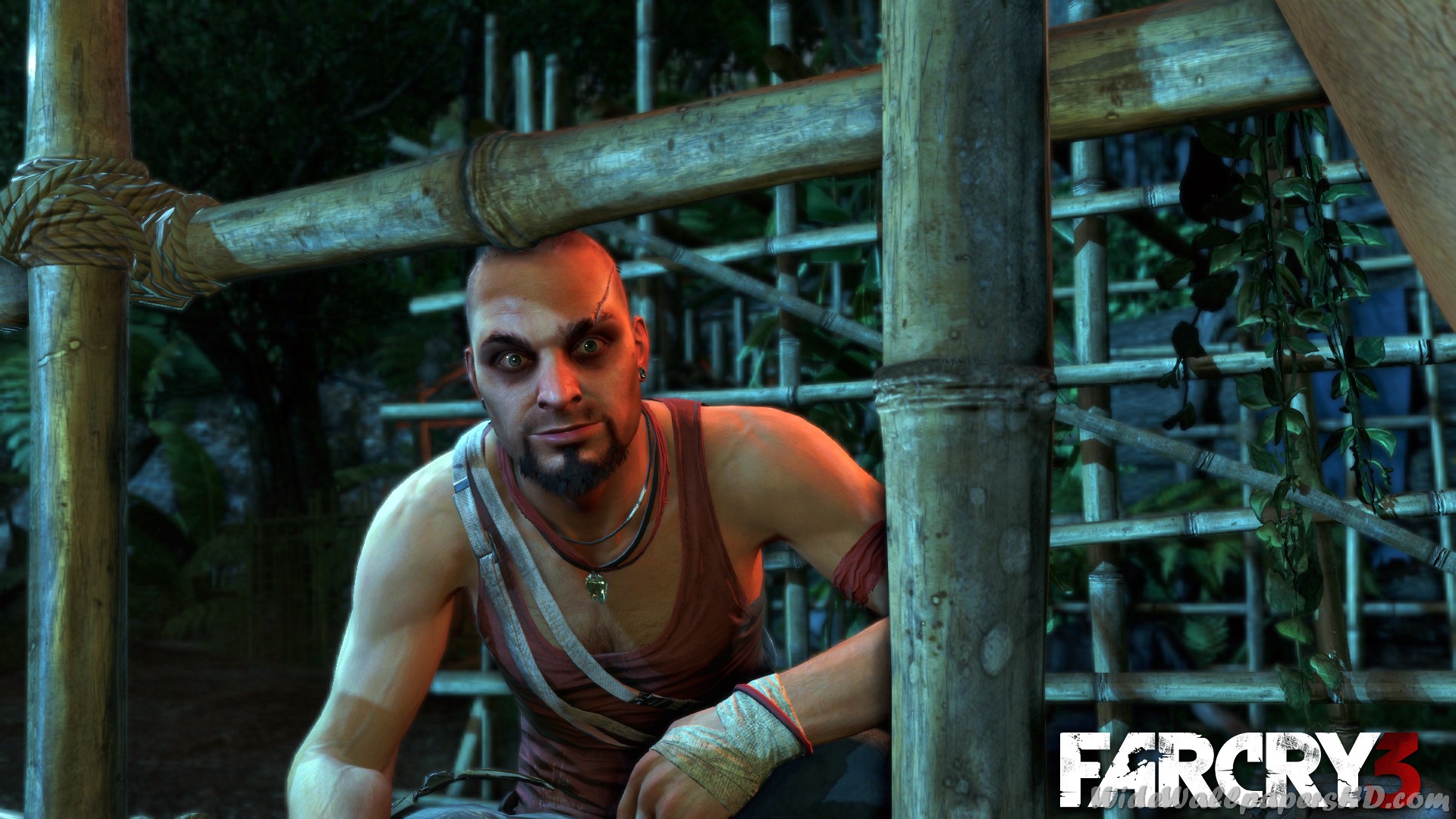 Vass Looking Far Cry 3 - Far Cry 3 , HD Wallpaper & Backgrounds