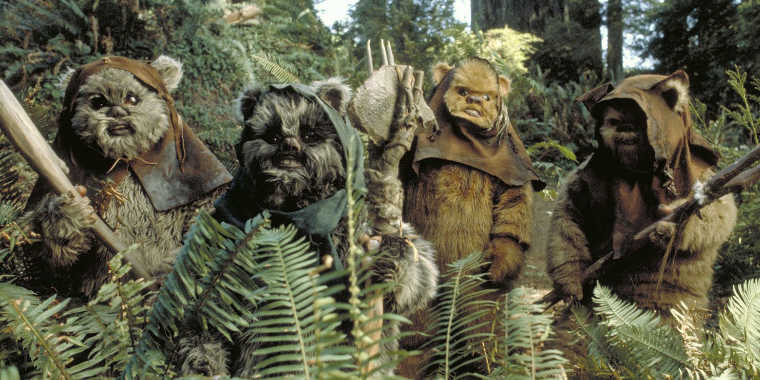 Are 'star Wars - Star Wars Return Of The Jedi Ewoks , HD Wallpaper & Backgrounds