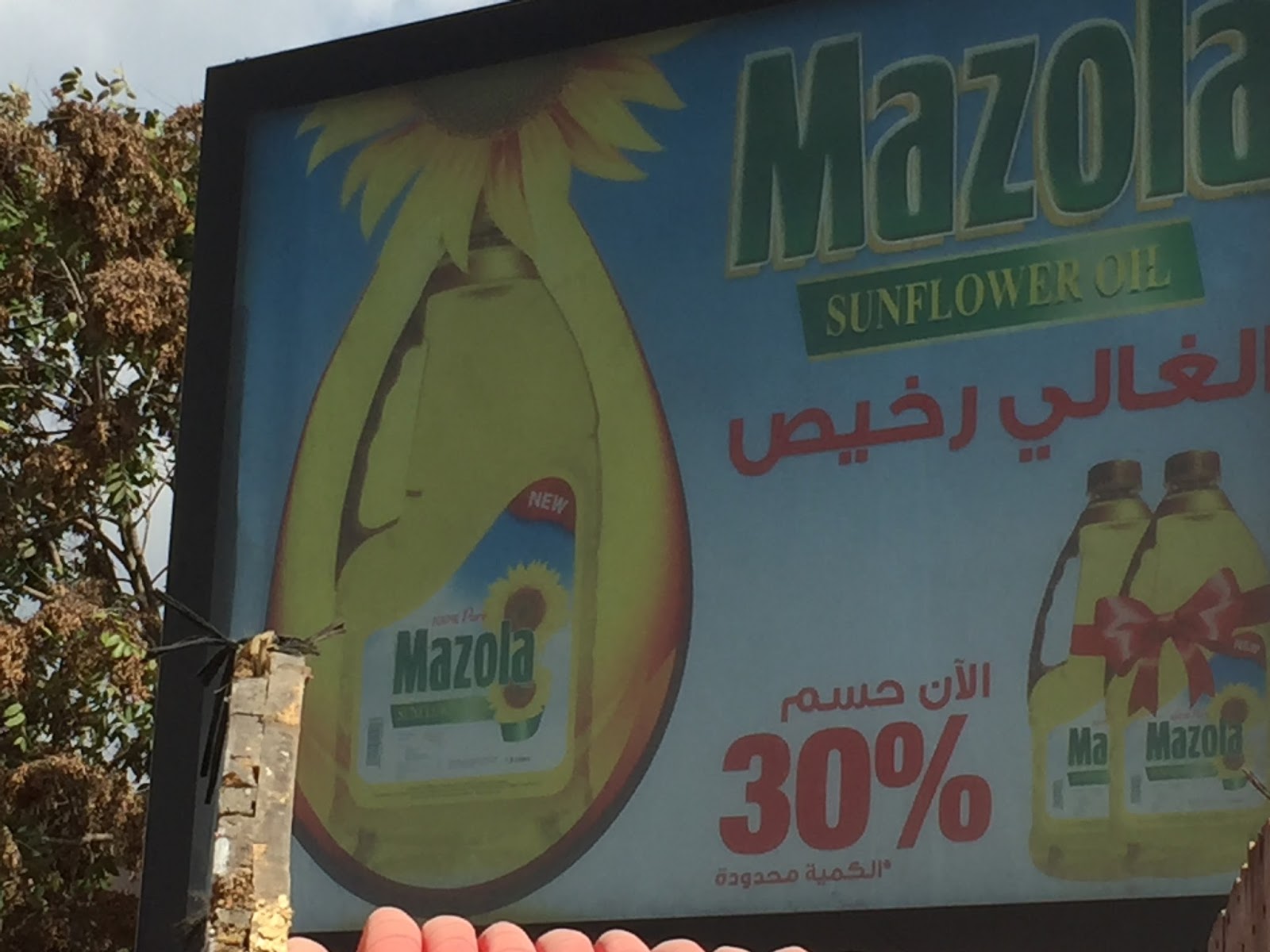Mazola Sunflower Oil Is Using Lebanese Idioms Effectively - Poster , HD Wallpaper & Backgrounds