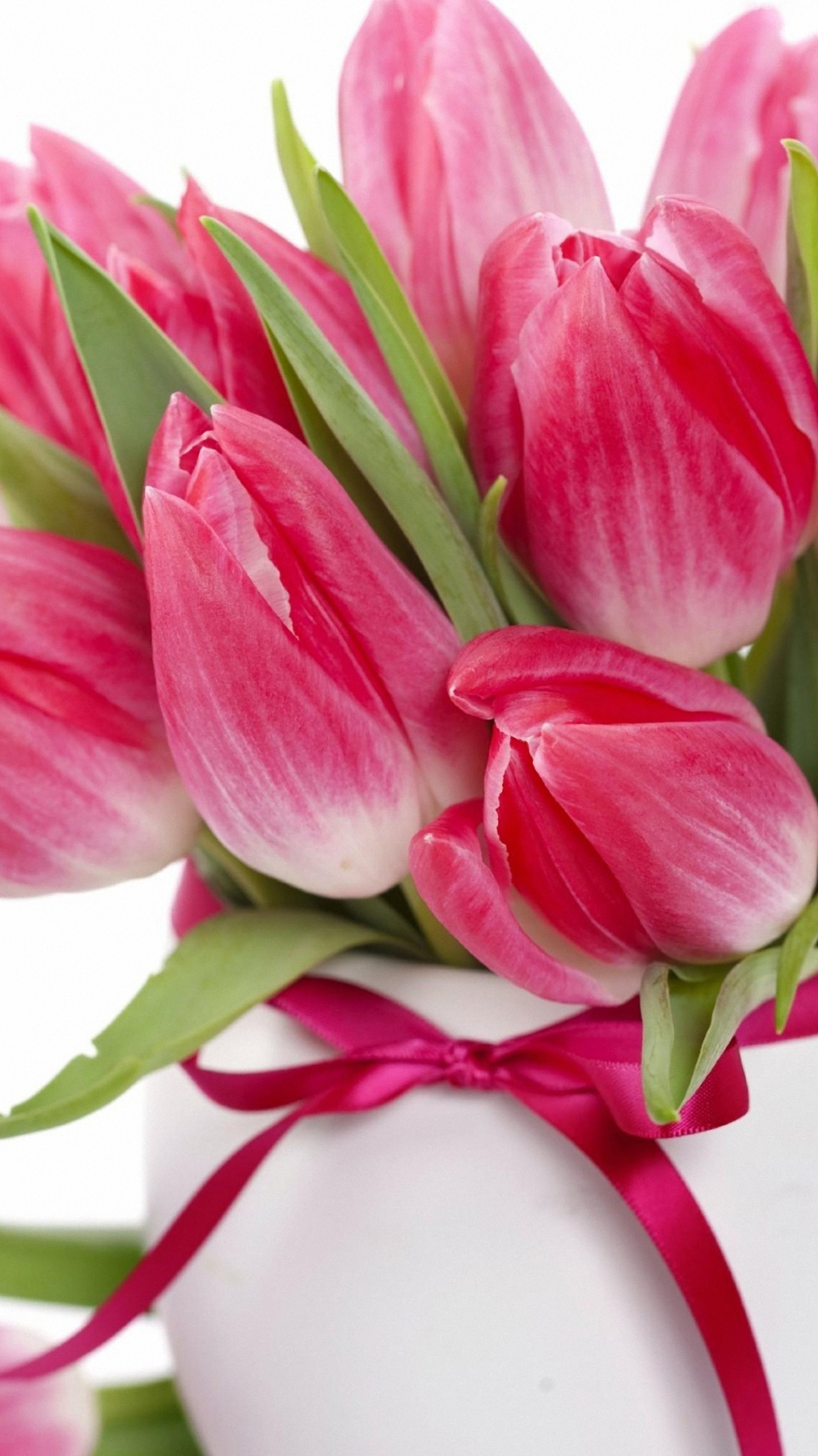Hd Tulip Wallpapers For Mobile , HD Wallpaper & Backgrounds