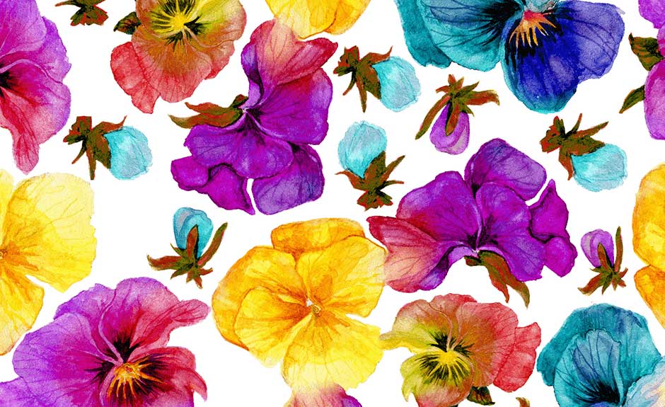 Flowers - Watercolor Painting , HD Wallpaper & Backgrounds