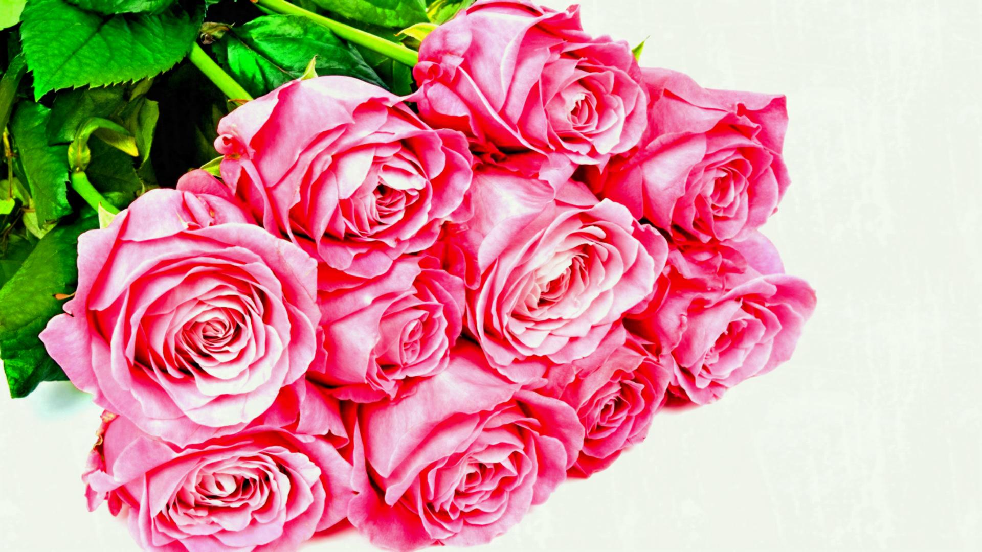 Romantic Flowers Wallpapers Crazy Frankenstein - Bunch Of Pink Rose , HD Wallpaper & Backgrounds