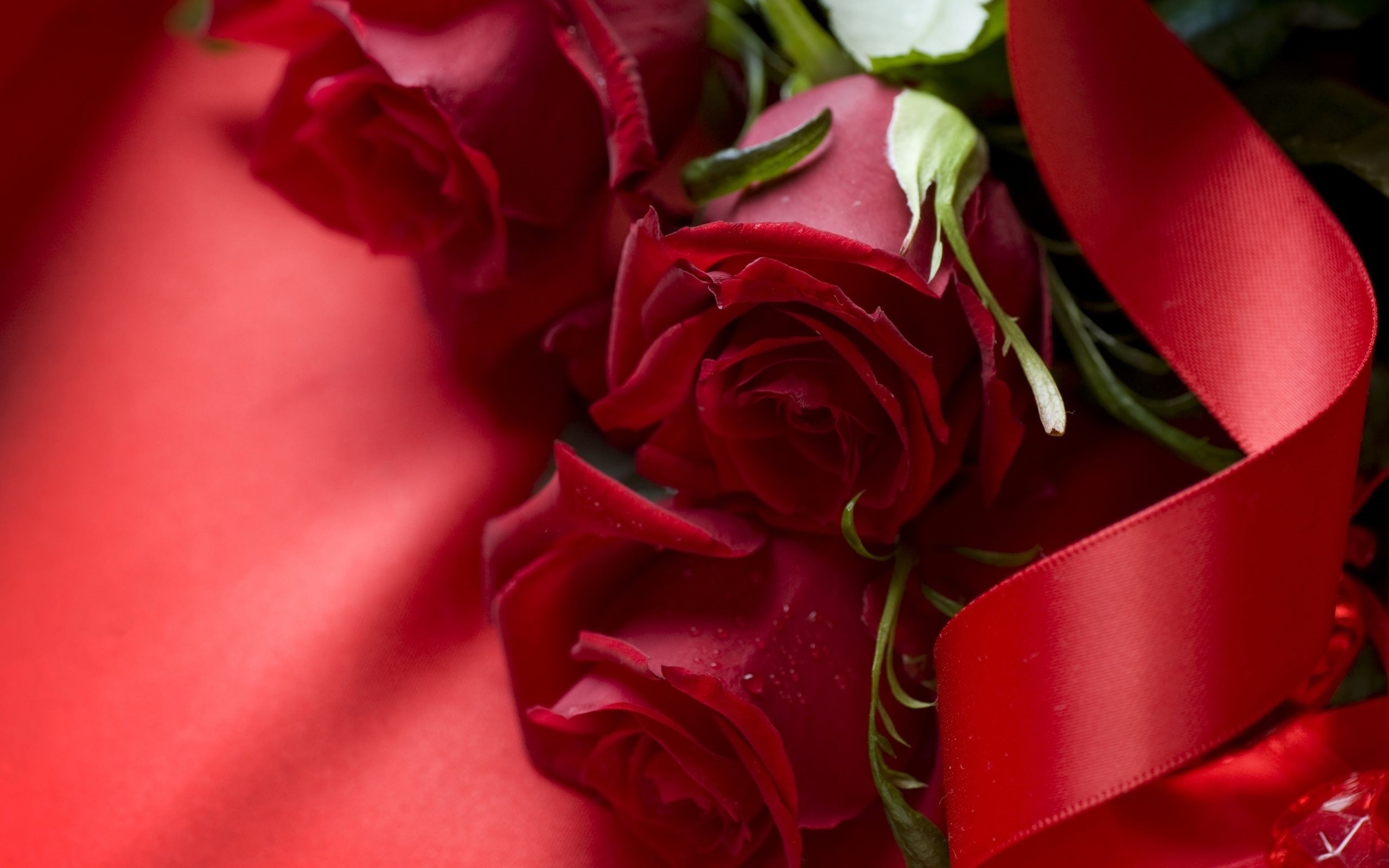 Download Wallpapers Romantic Background Red Roses Rose