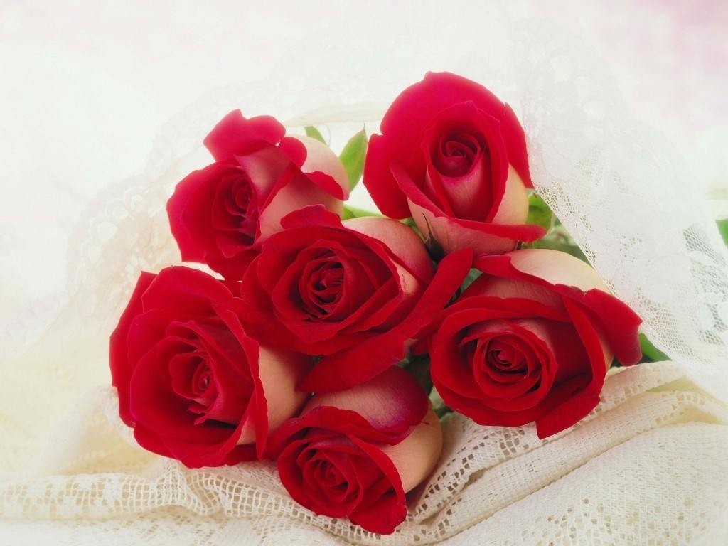 Roses Flowers Bouquet Red Romantic Flower Wallpaper - Miss You Beautiful Pink Rose Flowers , HD Wallpaper & Backgrounds