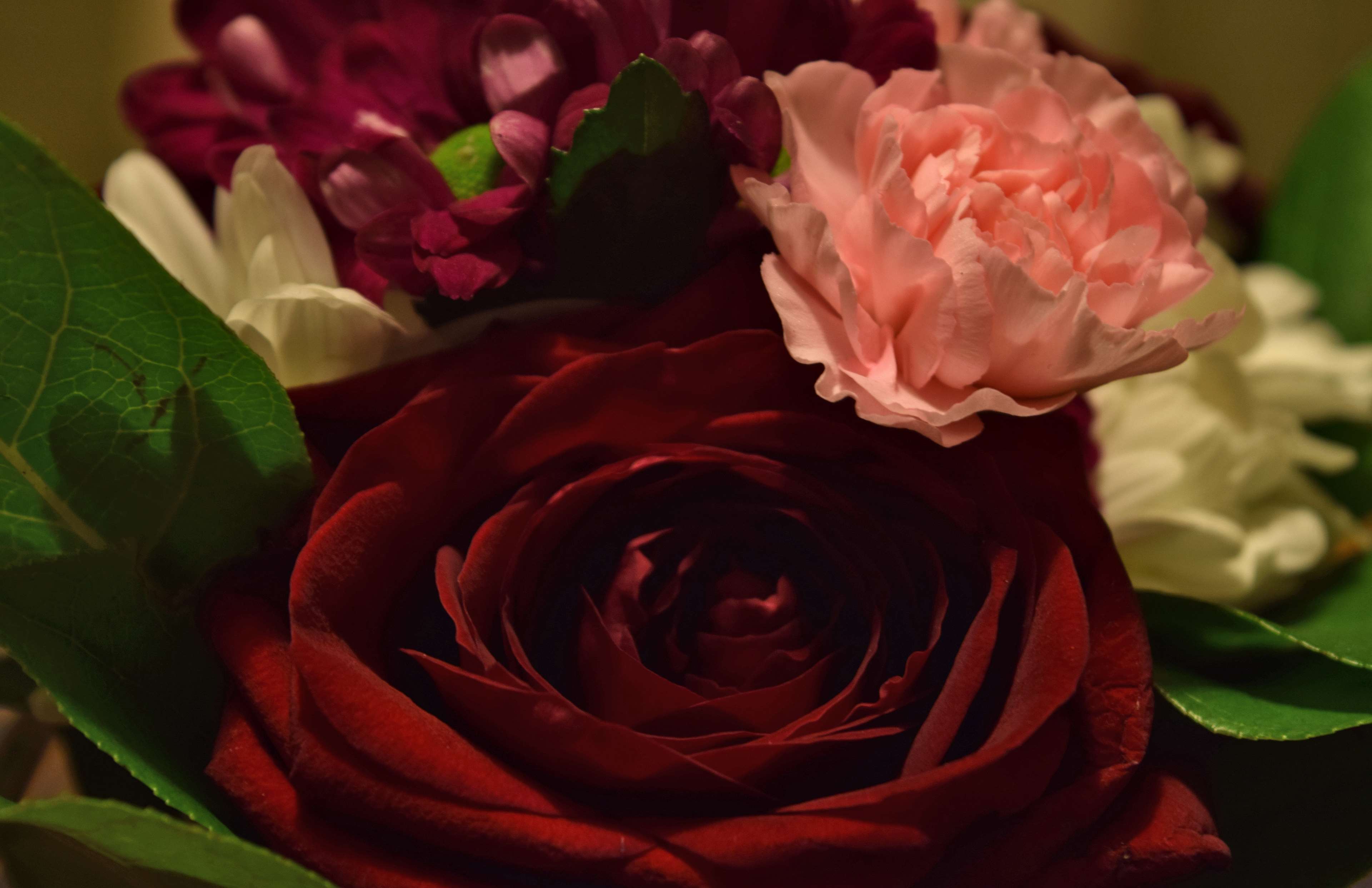 Flowers, Red Rose, Rose, Theme Christmas 4k Wallpaper - Garden Roses , HD Wallpaper & Backgrounds