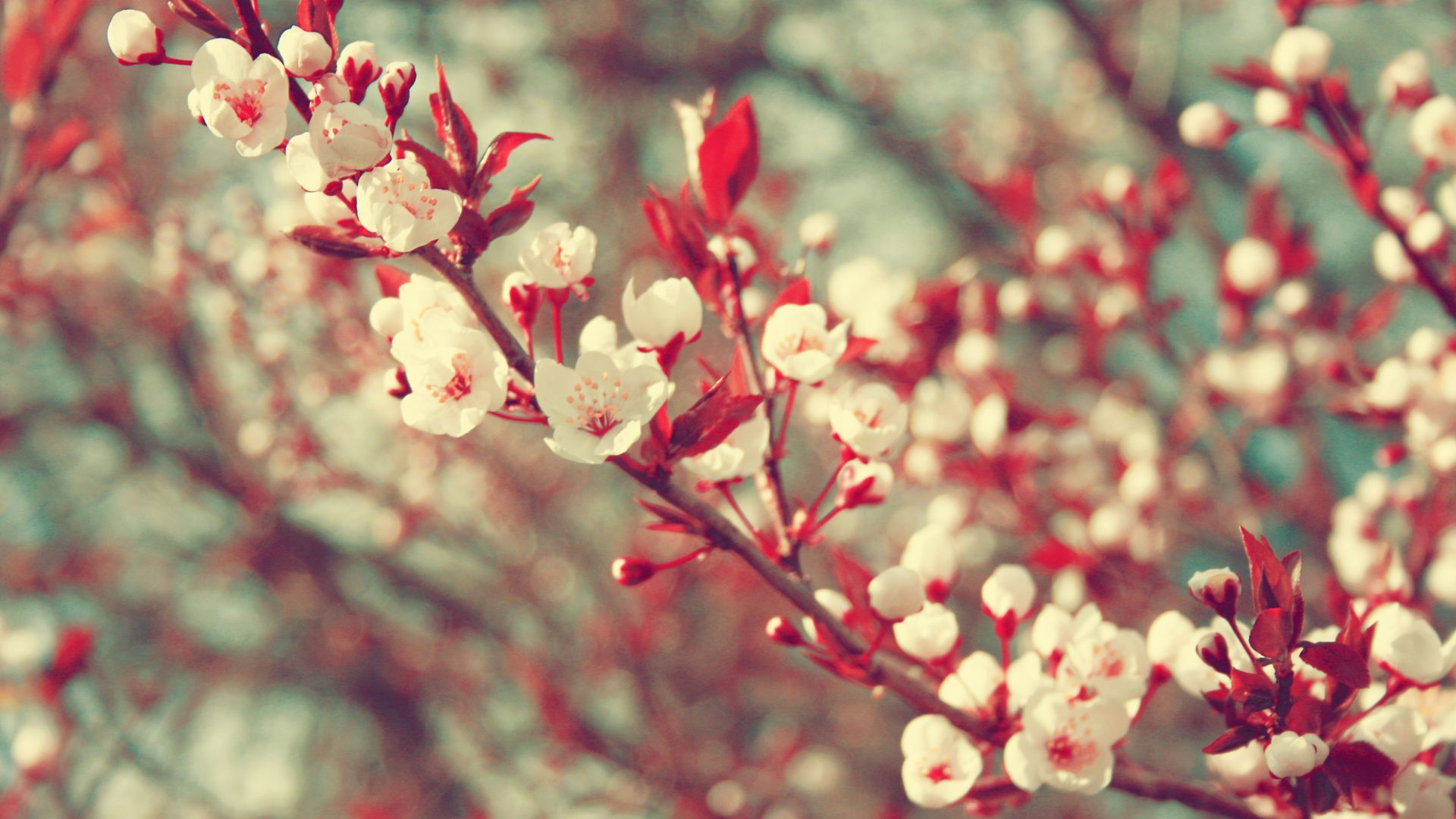 Wallpaper Tumblr Vintage For Iphone - Awesome Spring , HD Wallpaper & Backgrounds