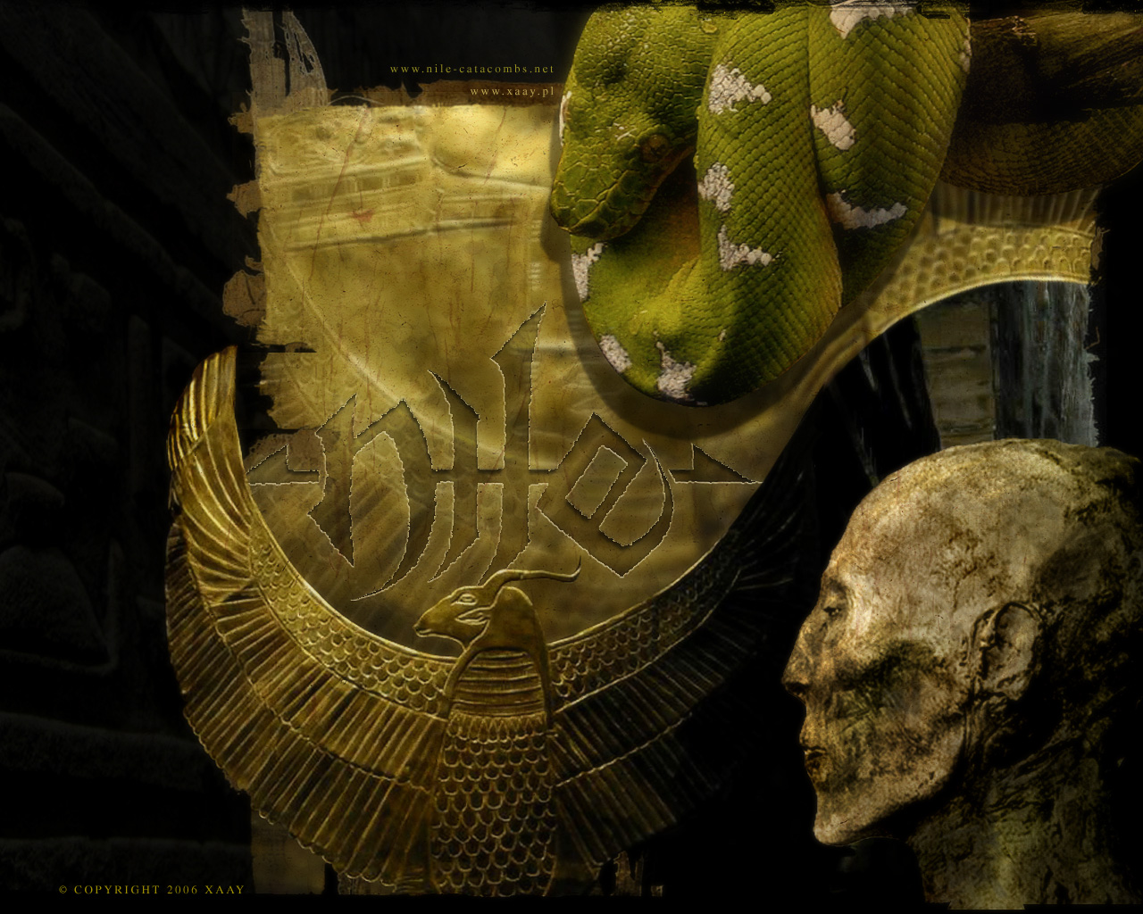 Snake - Nile Band , HD Wallpaper & Backgrounds