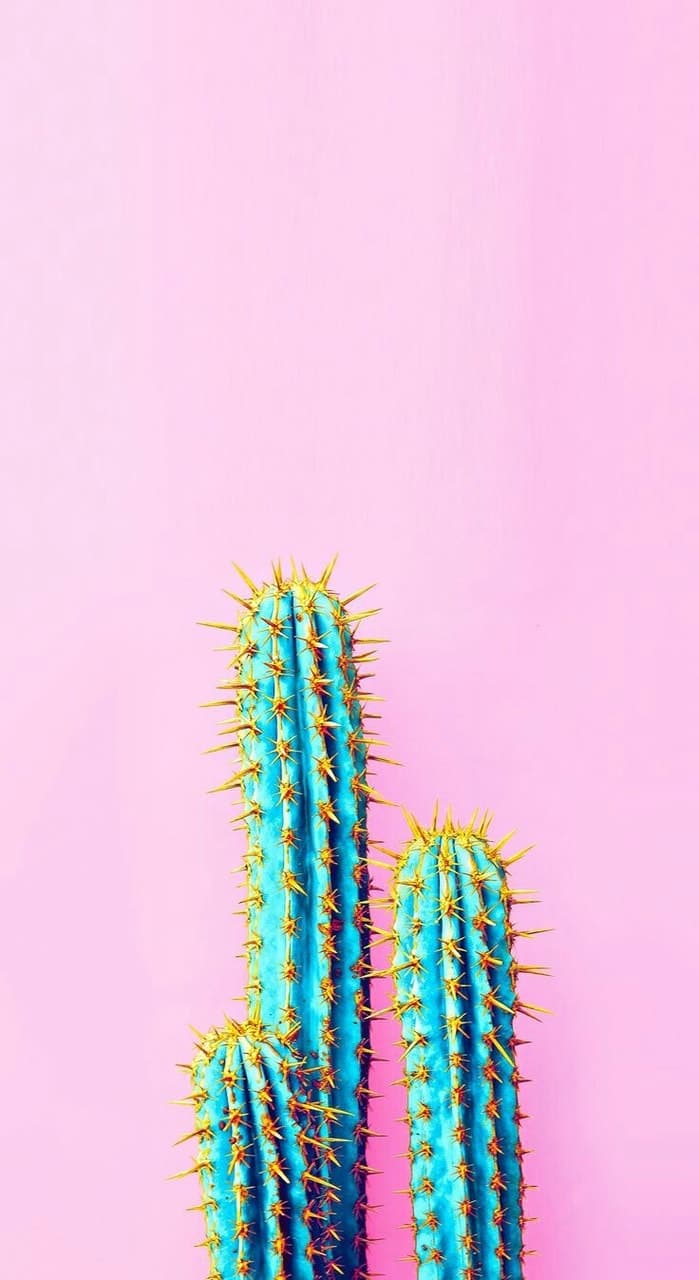 Neon Cactus , HD Wallpaper & Backgrounds