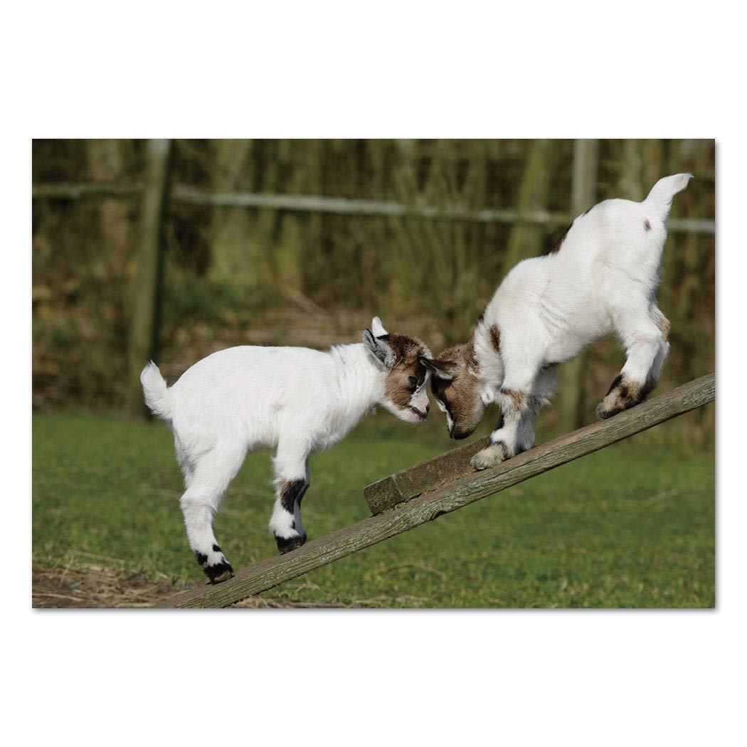 Large Wall Mural Sticker [ Animal Decor,two Little - Goat , HD Wallpaper & Backgrounds
