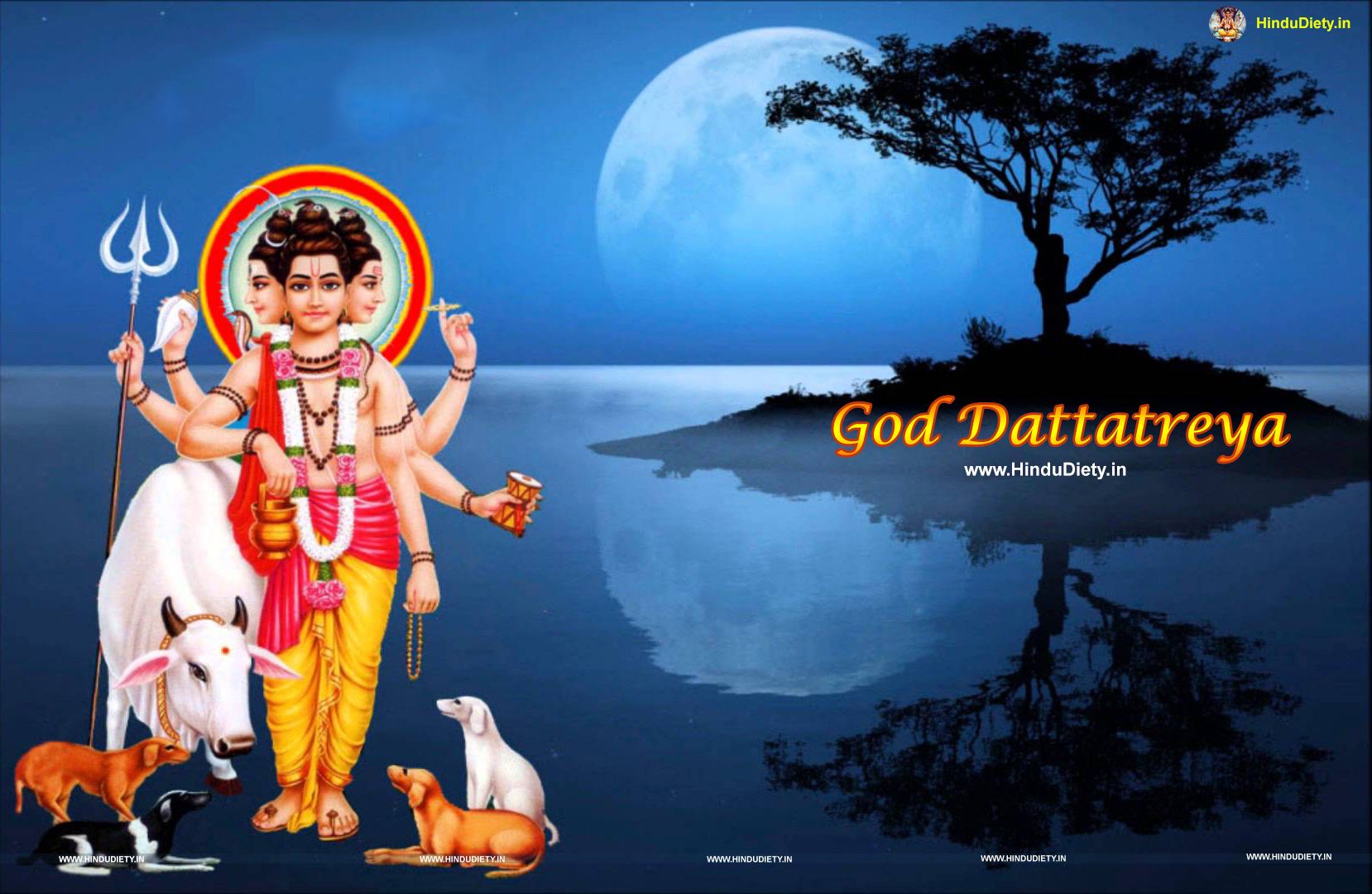 Free Download God Dattatreya Wallpapers , Images & - Blue Moon Over Ocean , HD Wallpaper & Backgrounds