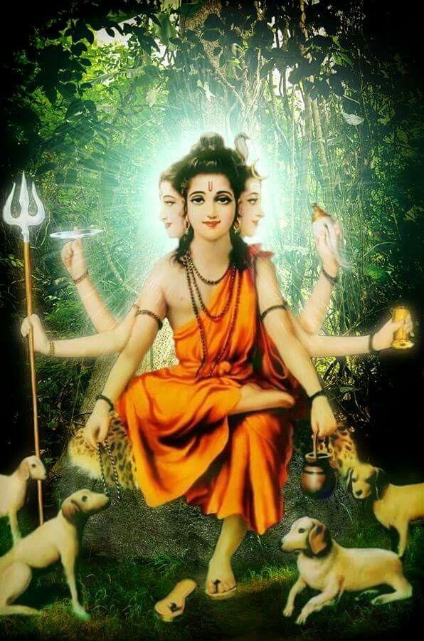 Pichers Of God 69 Best Dattatreya Images On Pinterest - Guru Dattatreya , HD Wallpaper & Backgrounds