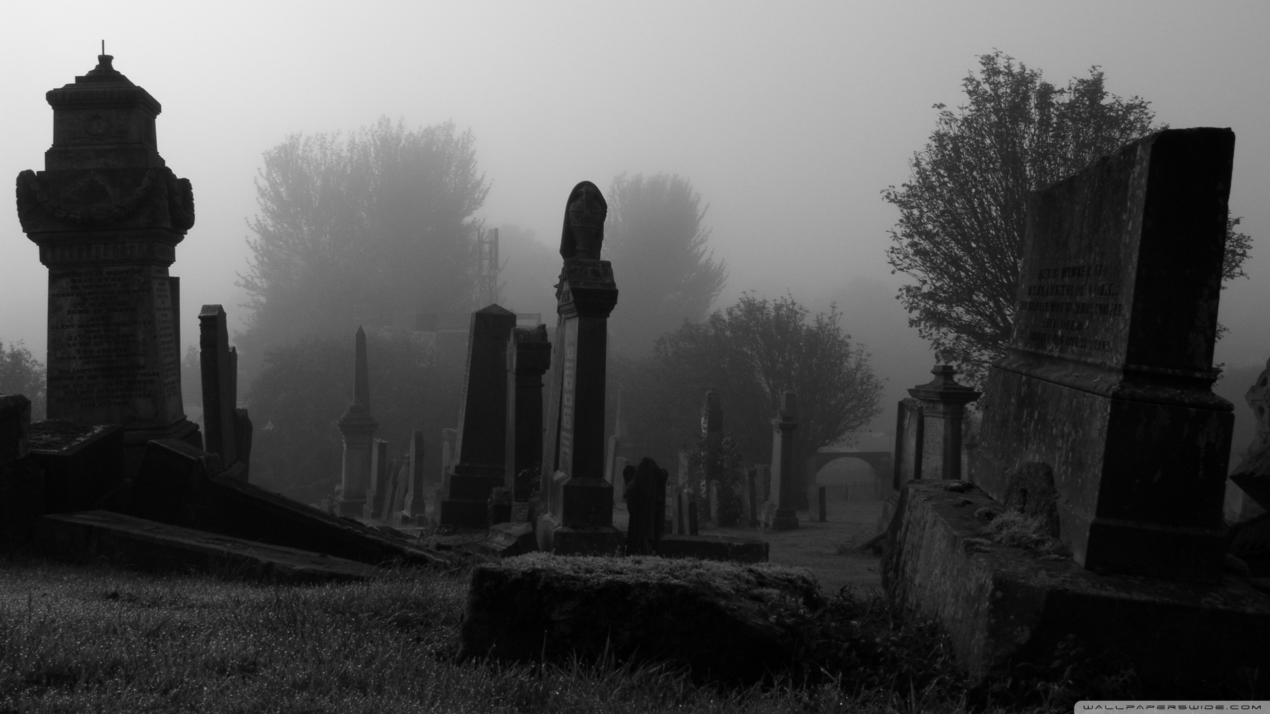 The Cemetery Wallpaper - Cemetery Hd , HD Wallpaper & Backgrounds