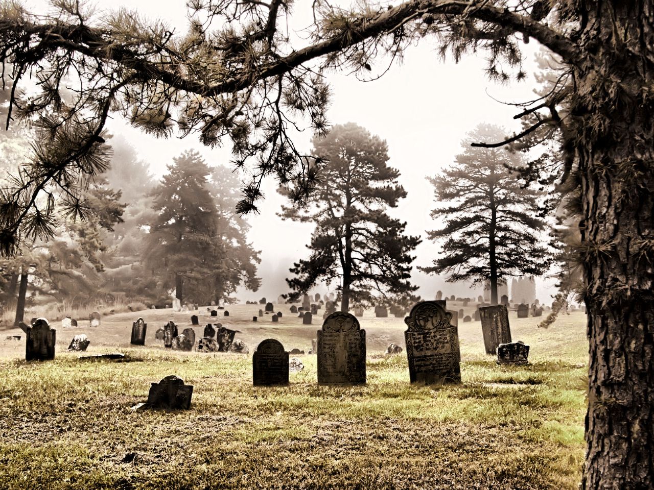 Old Cemetery , HD Wallpaper & Backgrounds