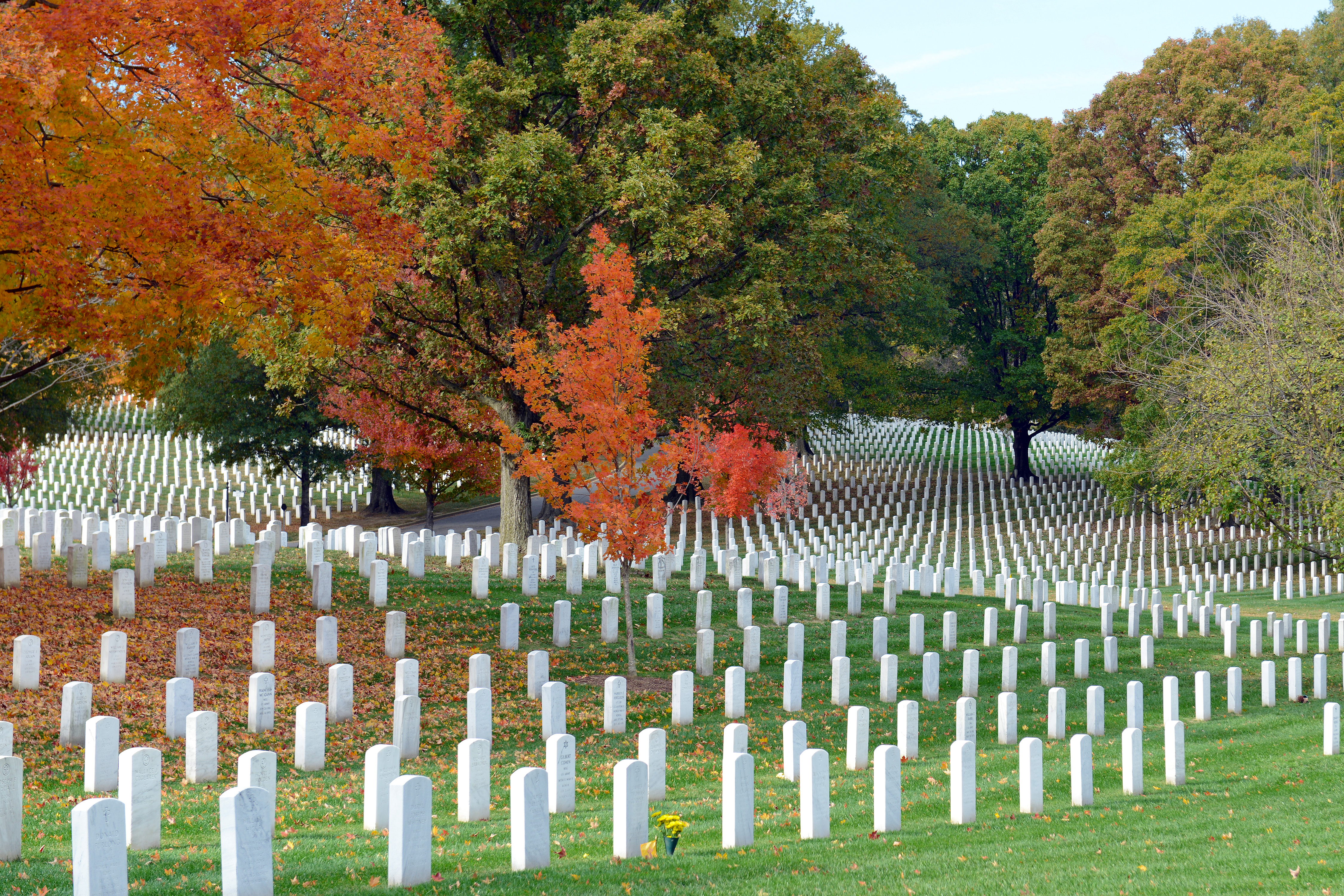 Headstones In Arlington National Cemetery In Washington - Arlington National Cemetery In Washington , HD Wallpaper & Backgrounds