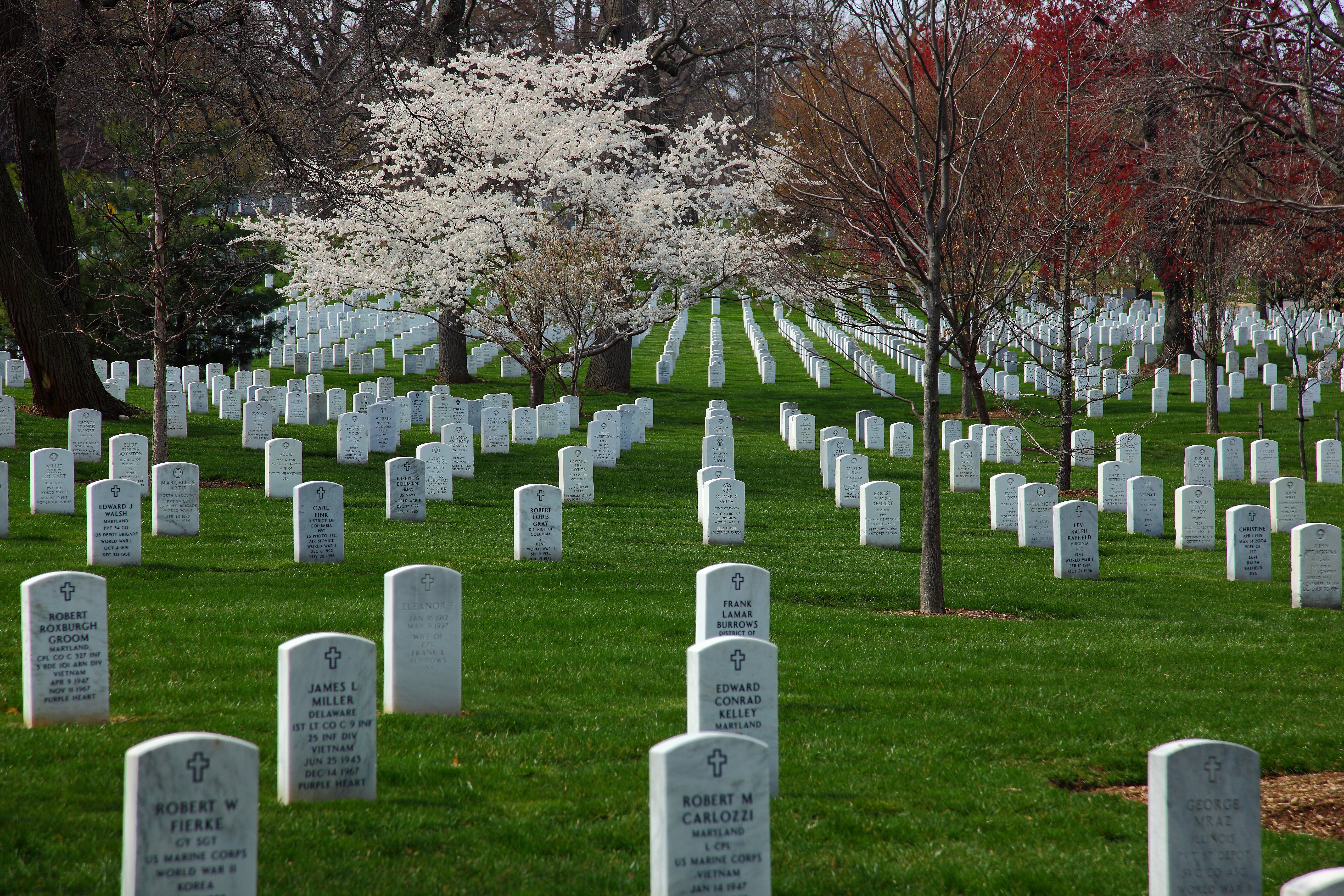 Spring Arlington Cemetery - Funeral Cemetery , HD Wallpaper & Backgrounds