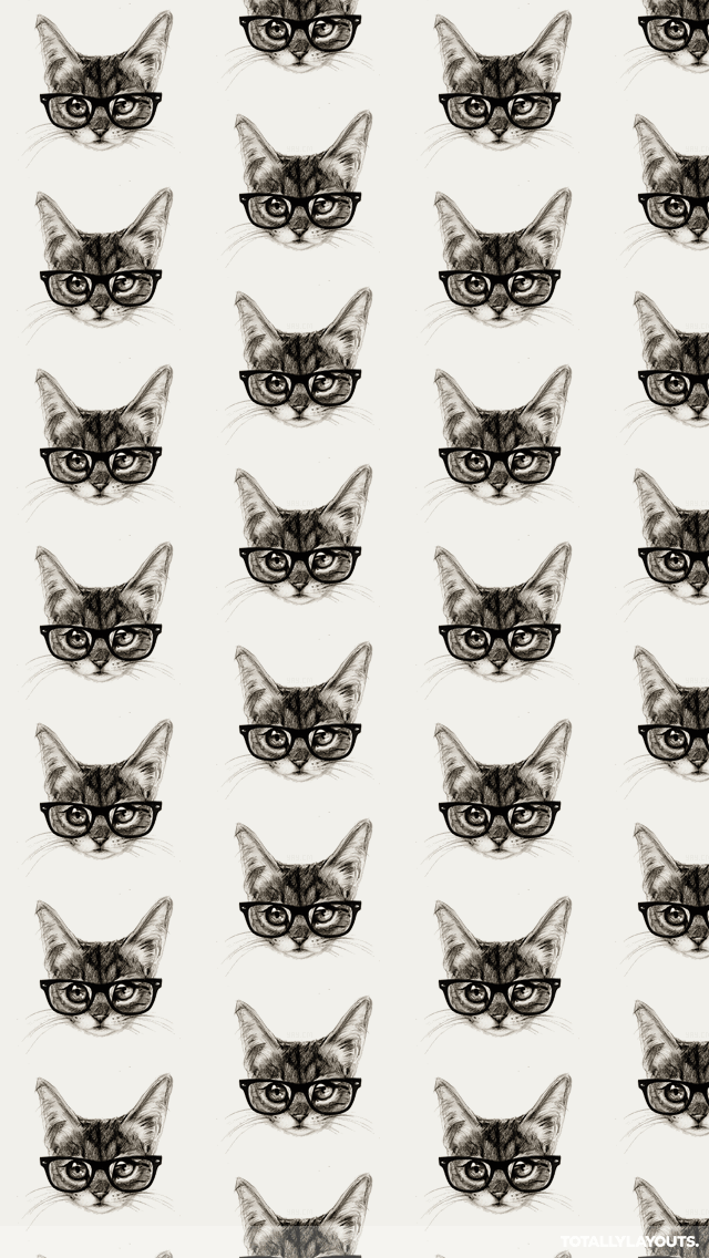 Cats Tumblr Iphone Wallpaper - Cat Glasses Wallpaper Iphone , HD Wallpaper & Backgrounds
