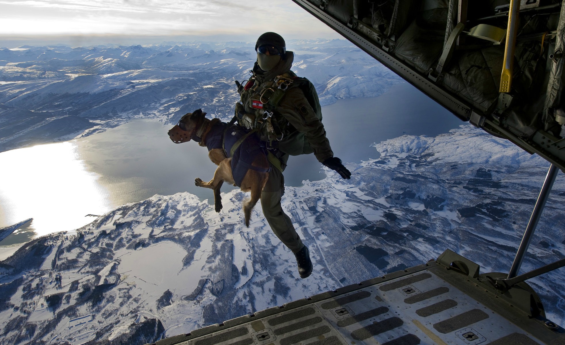 Austrian Soldier With Bomb-sniffing Dog - Special Forces Dog , HD Wallpaper & Backgrounds