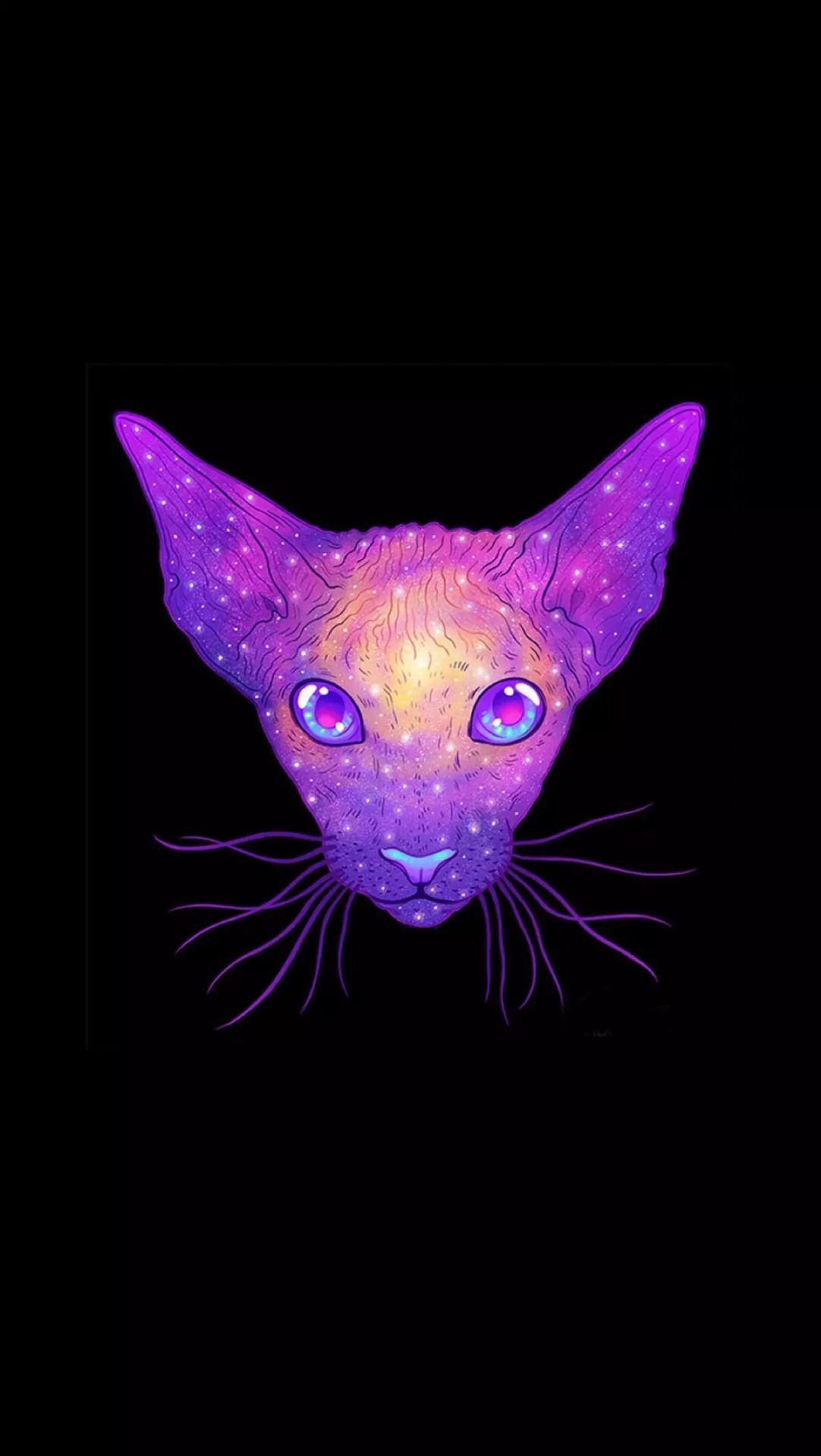 Iphone Background Arka Planlar Galaxy Cat - Iphone 6 Cat , HD Wallpaper & Backgrounds