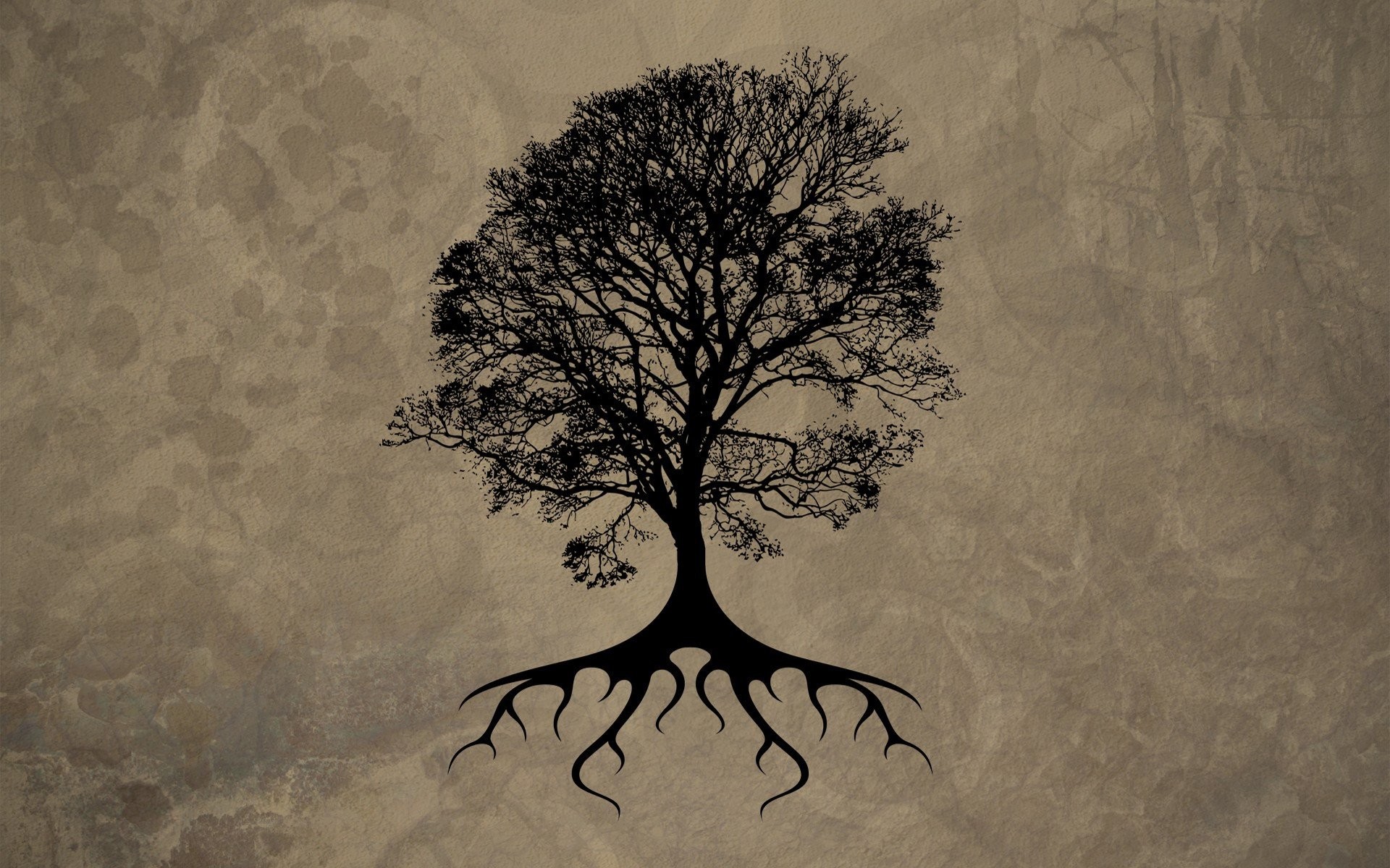 Tree Of Life 521564 - Tree Of Life Backgrounds , HD Wallpaper & Backgrounds