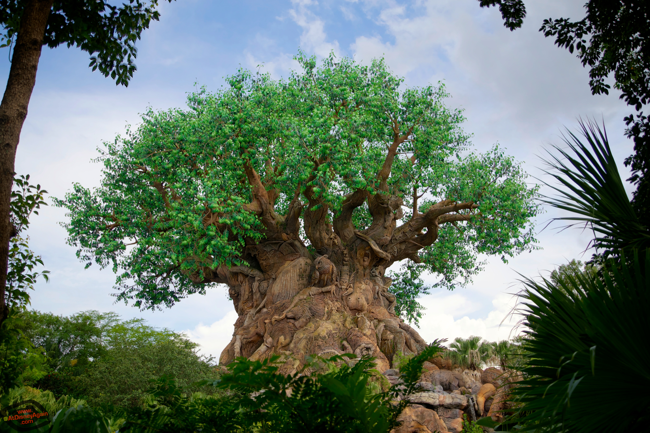 Treeoflifewallpaper - Disney World, The Tree Of Life , HD Wallpaper & Backgrounds