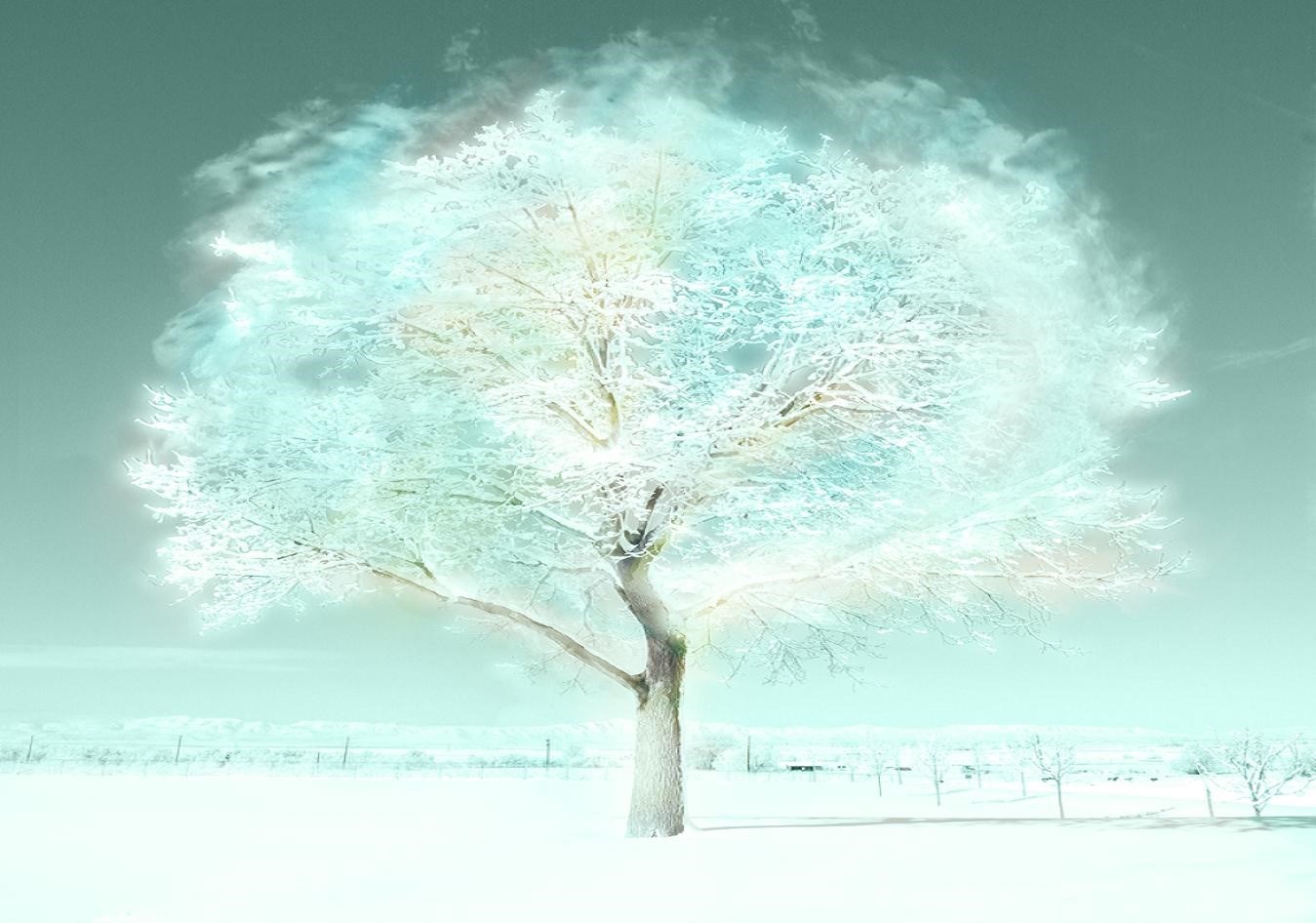Tree Of Life Wallpaper - El Arbol De La Vida Imagen Hd , HD Wallpaper & Backgrounds