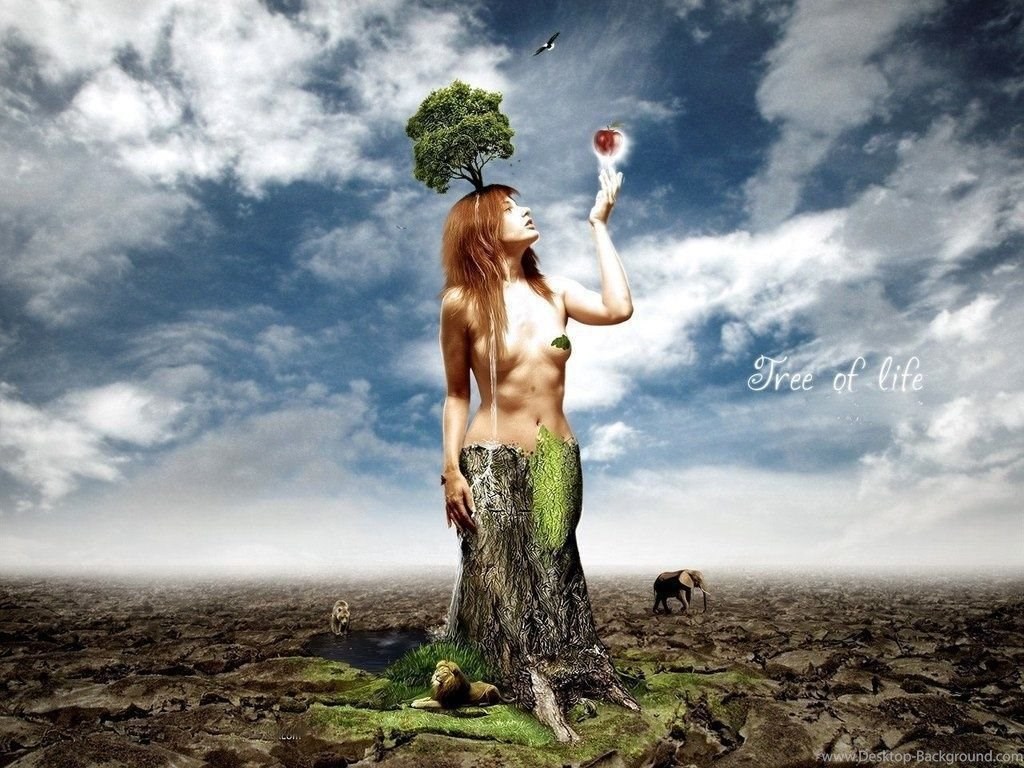 Art And Creative Photos/tree Of Life Pics And Wallpapers - Man With Tree , HD Wallpaper & Backgrounds