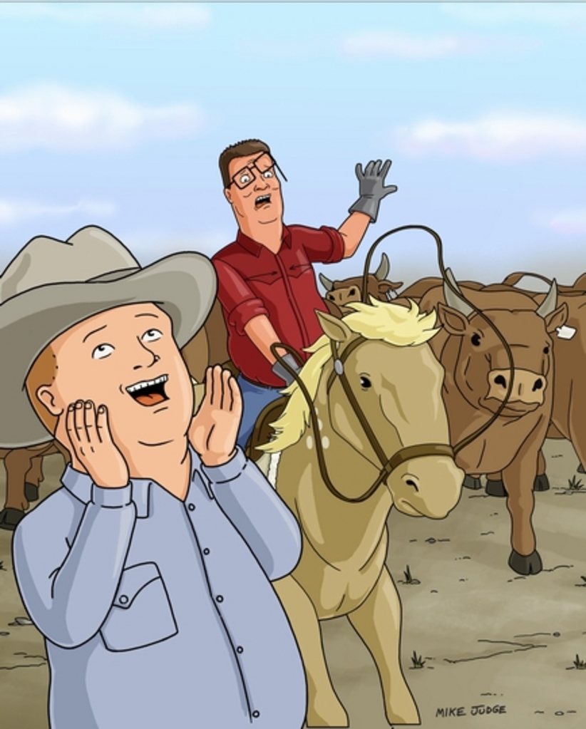 King Of The Hill Publicity Photos - Bobby King Of The Hill Cowboy , HD Wallpaper & Backgrounds