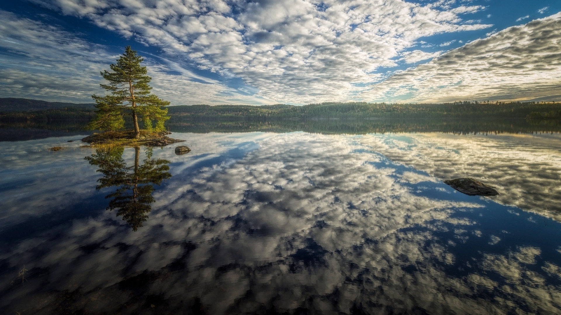 Nature Landscape Trees Water Reflection Forest Clouds - Reflection , HD Wallpaper & Backgrounds